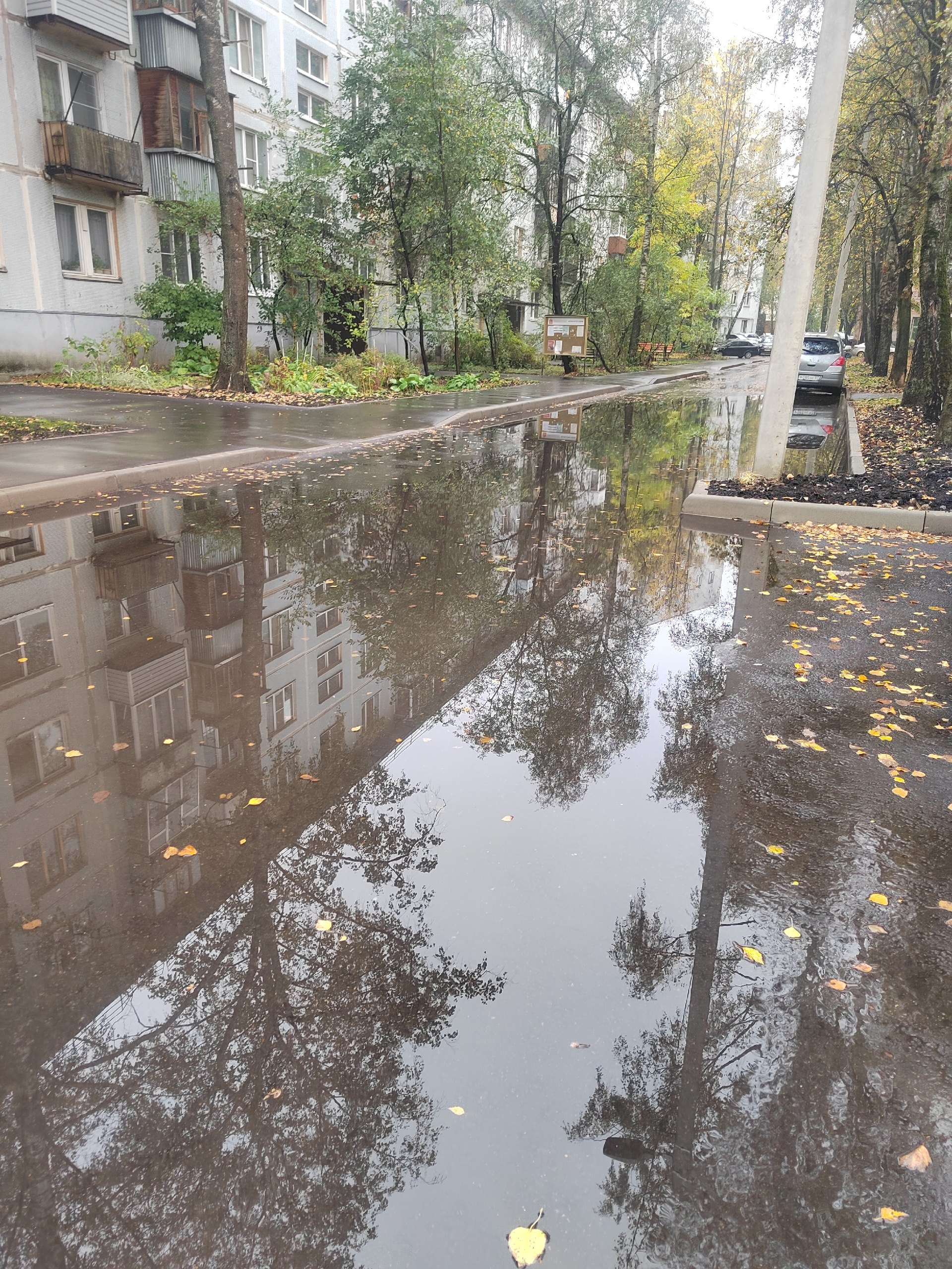 Произошло то, что в принципе можно было ожидать.  Проспект м
