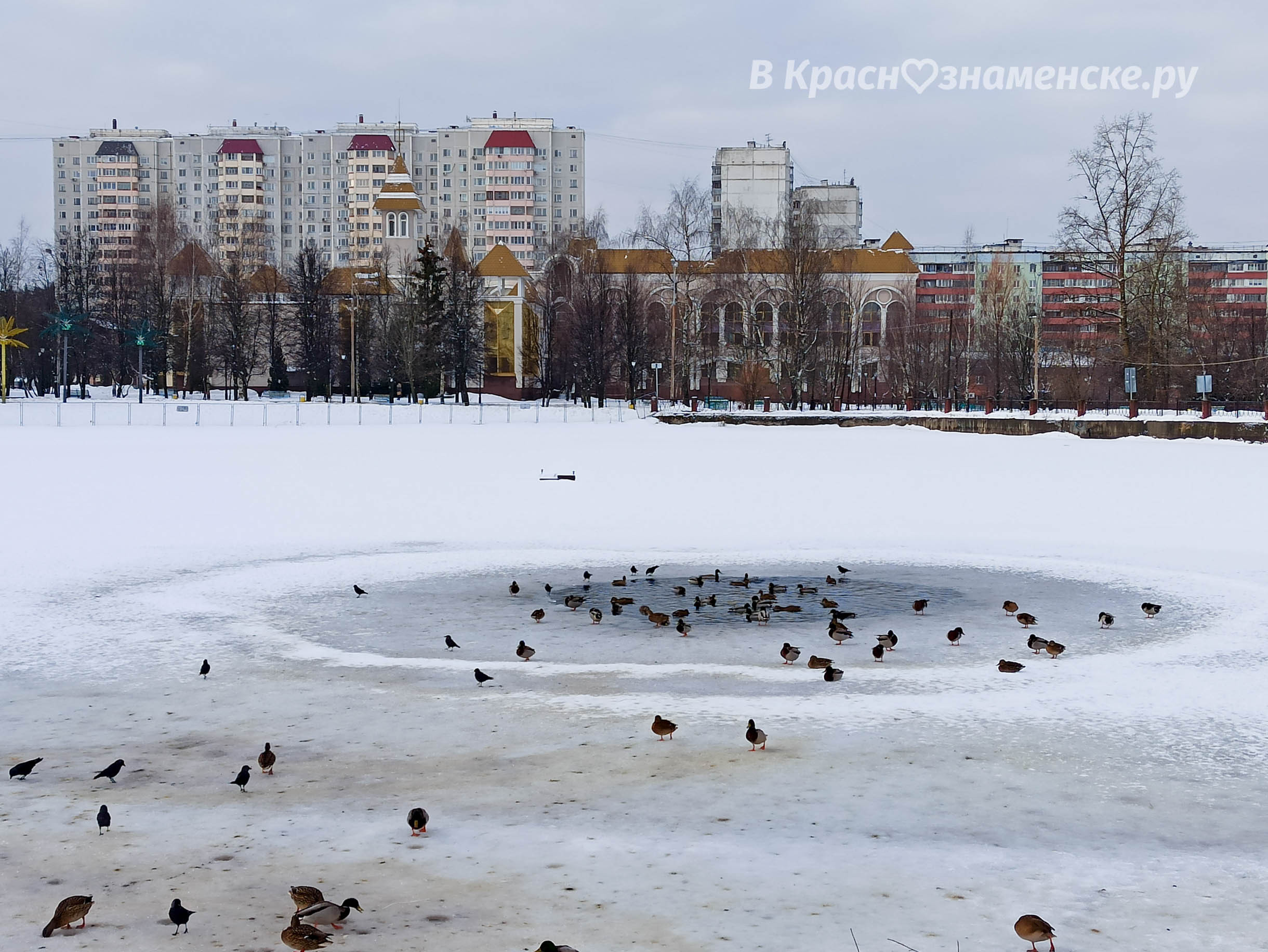 Фото 56868 — Краснознаменск