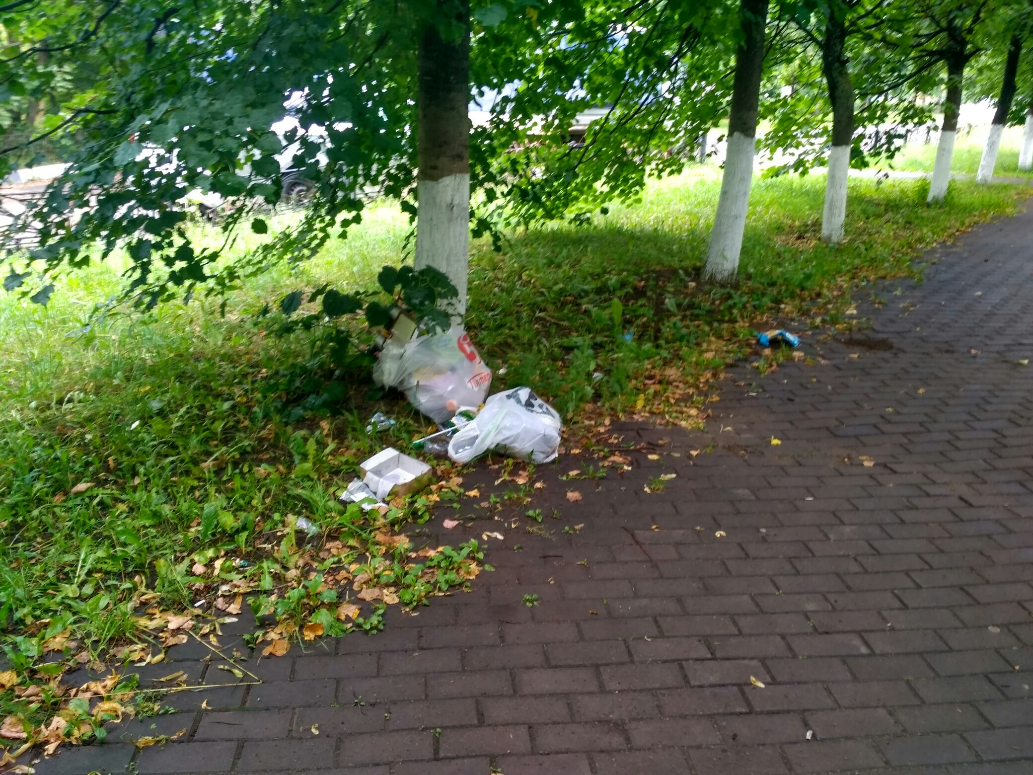 ???????????? — Краснознаменск