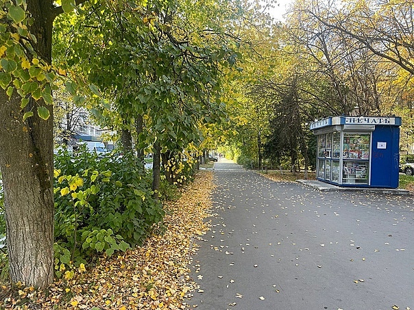 Доброе утро, Краснознаменск. Прекрасного дня и хорошего наст