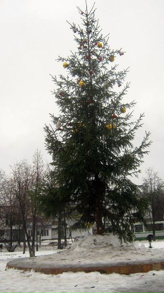 На месте, которое большинству жителей нашего города знает как «Голубиная площадь Администрацией установлена новогодняя елка.
Ее вид представлен Вам, уважаемые читатели, на обозрение.