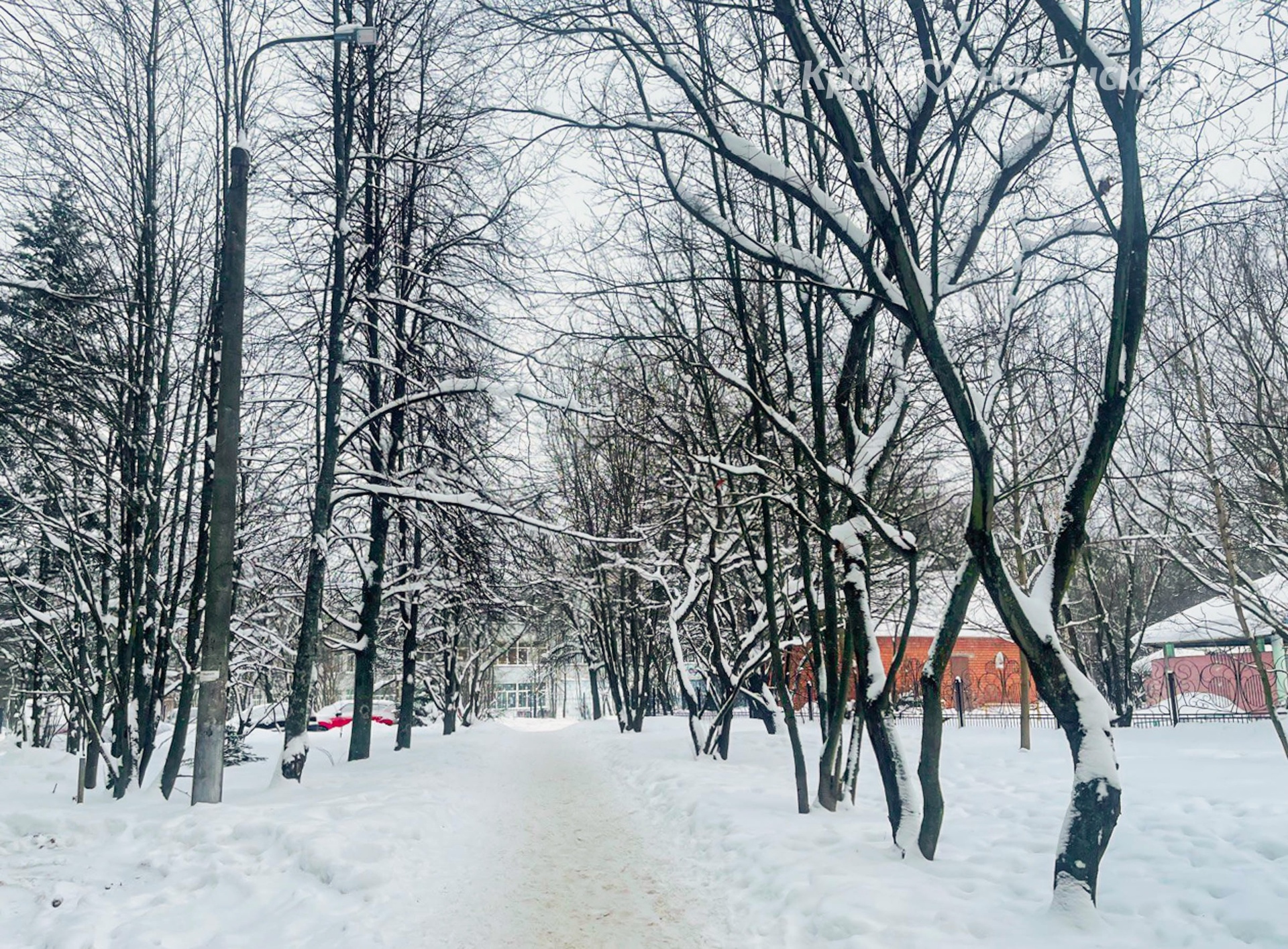 Прогулка по городу — Краснознаменск