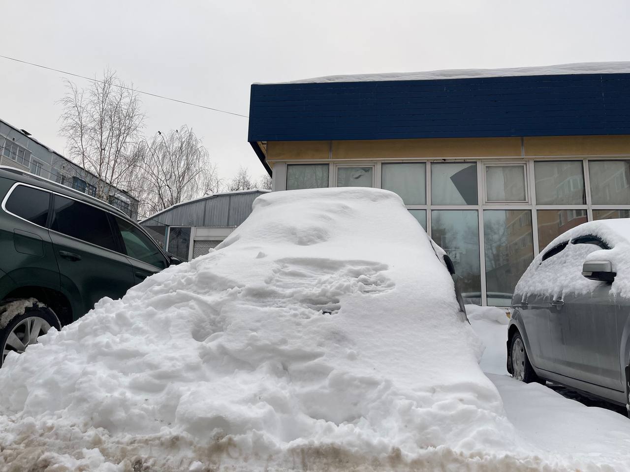 Подснежники — Краснознаменск