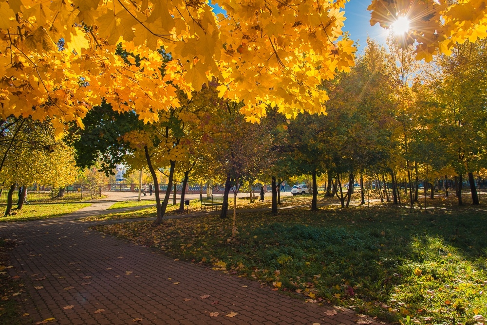 Прекрасные моменты осени