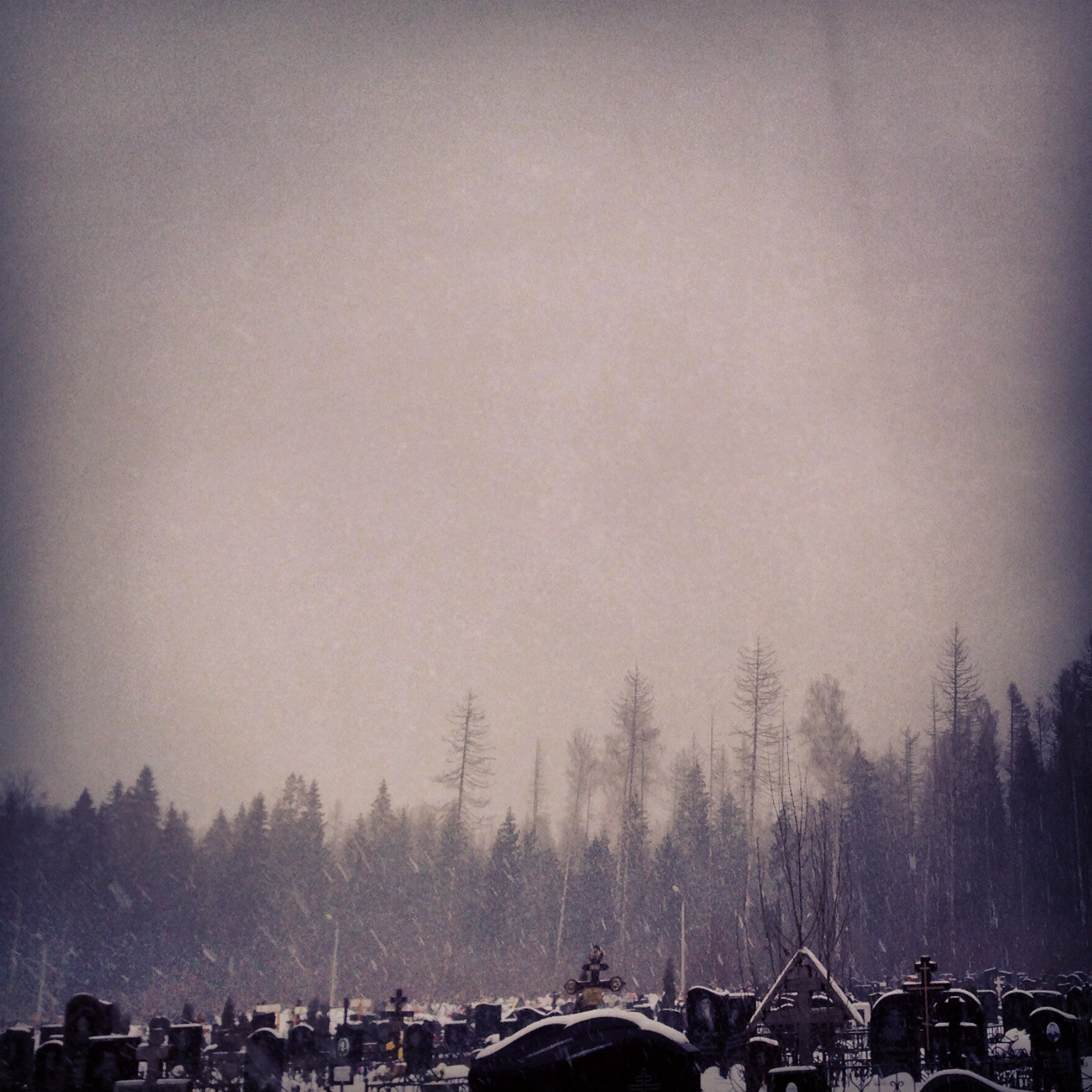 VK -27992616_67292