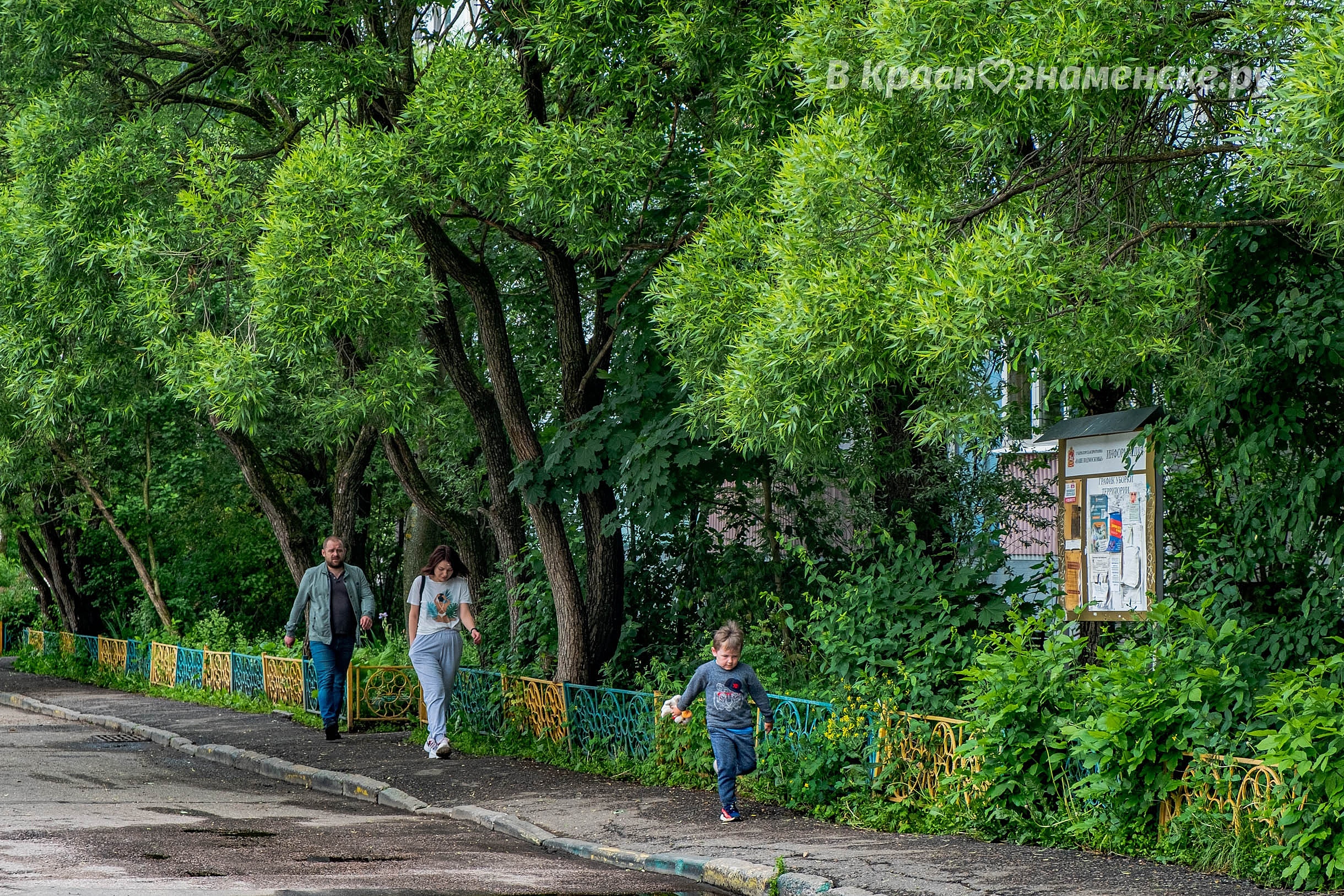 Доброе утро, Краснознаменск! Удачного вам дня)