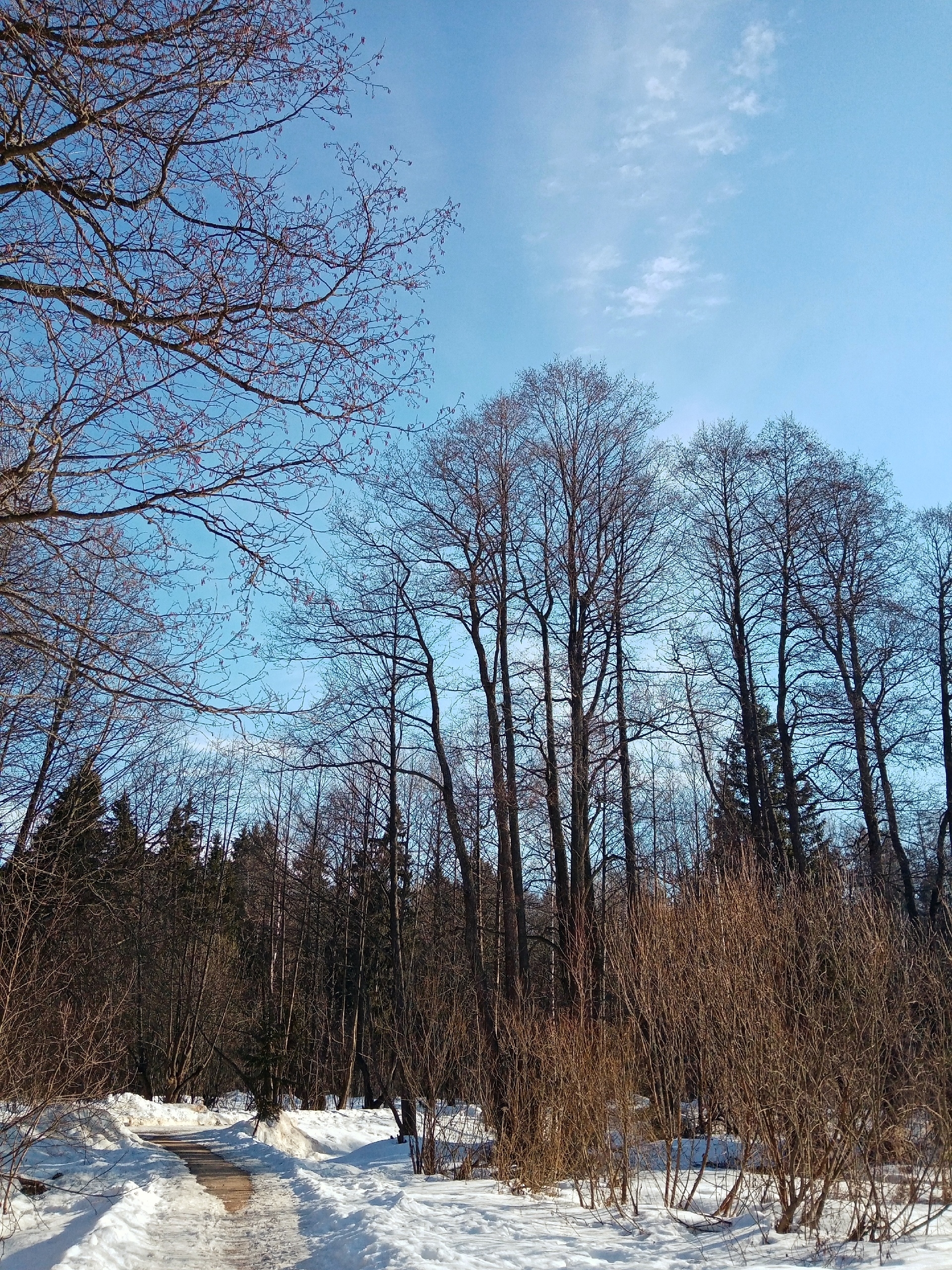 Парк Краснознаменска.