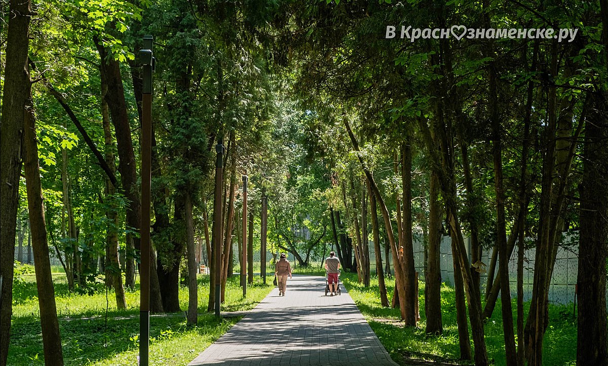 Лето в Краснознаменске
