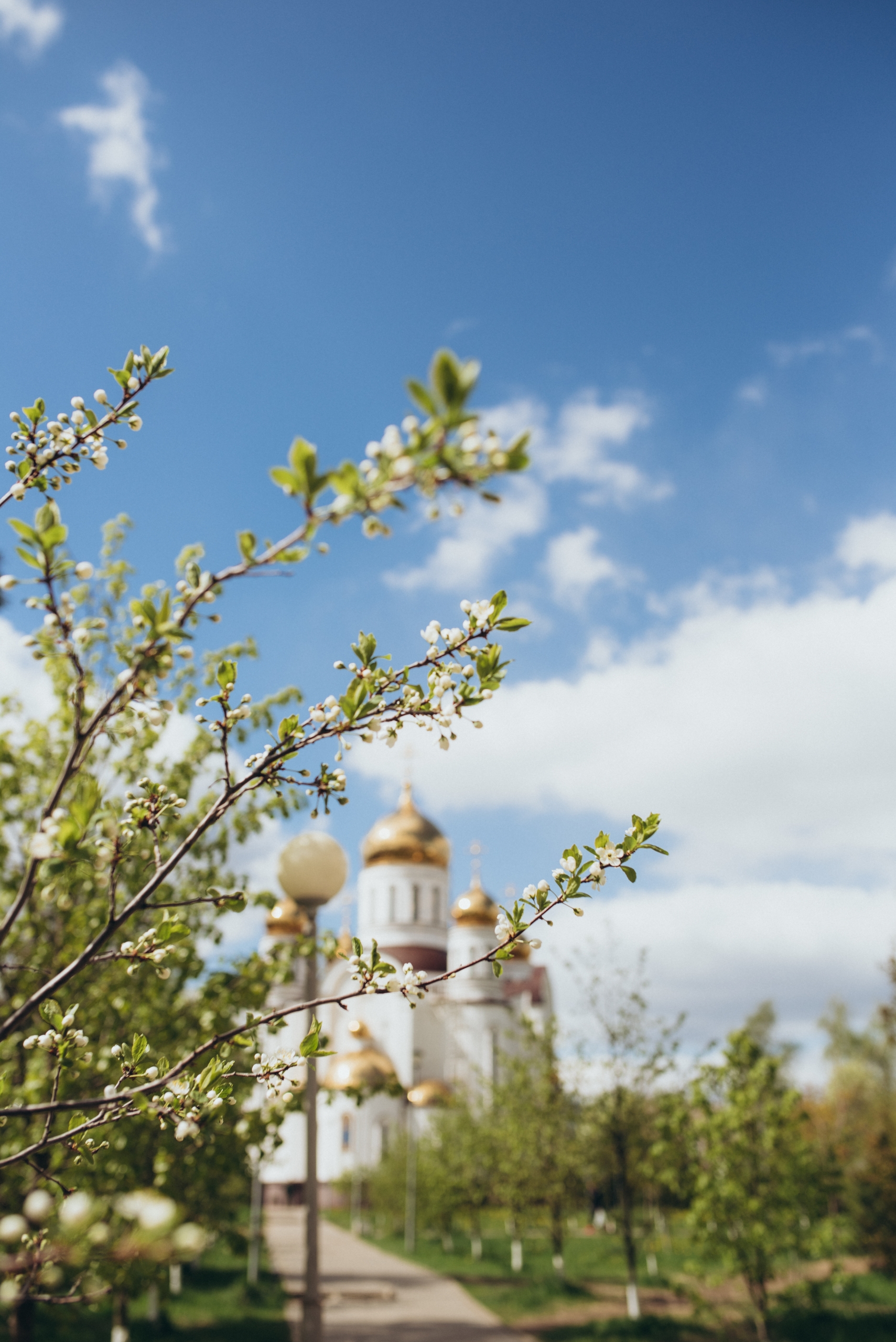 С Воскресным днём! — Краснознаменск