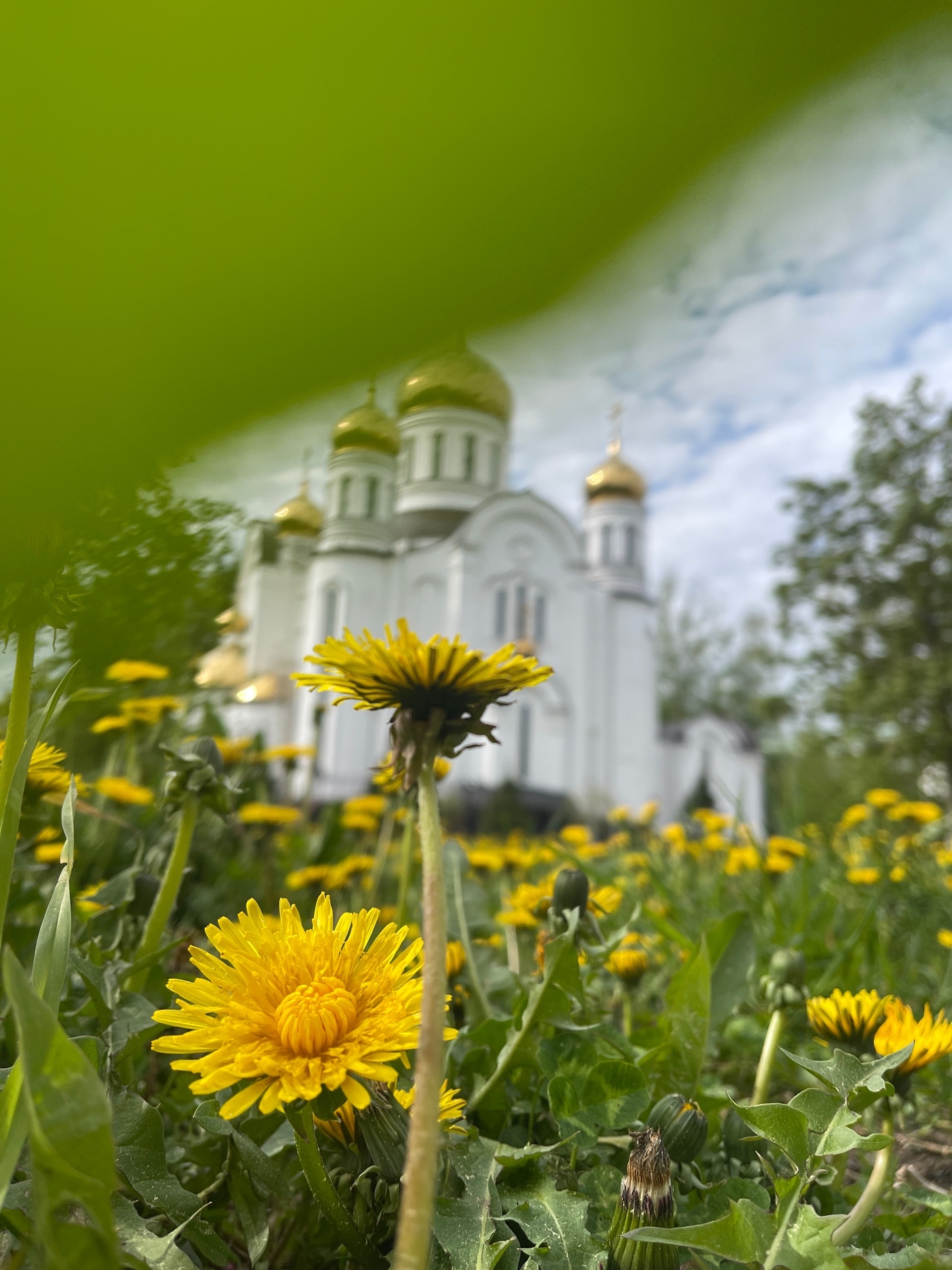 VK -27992616_770028 — Краснознаменск