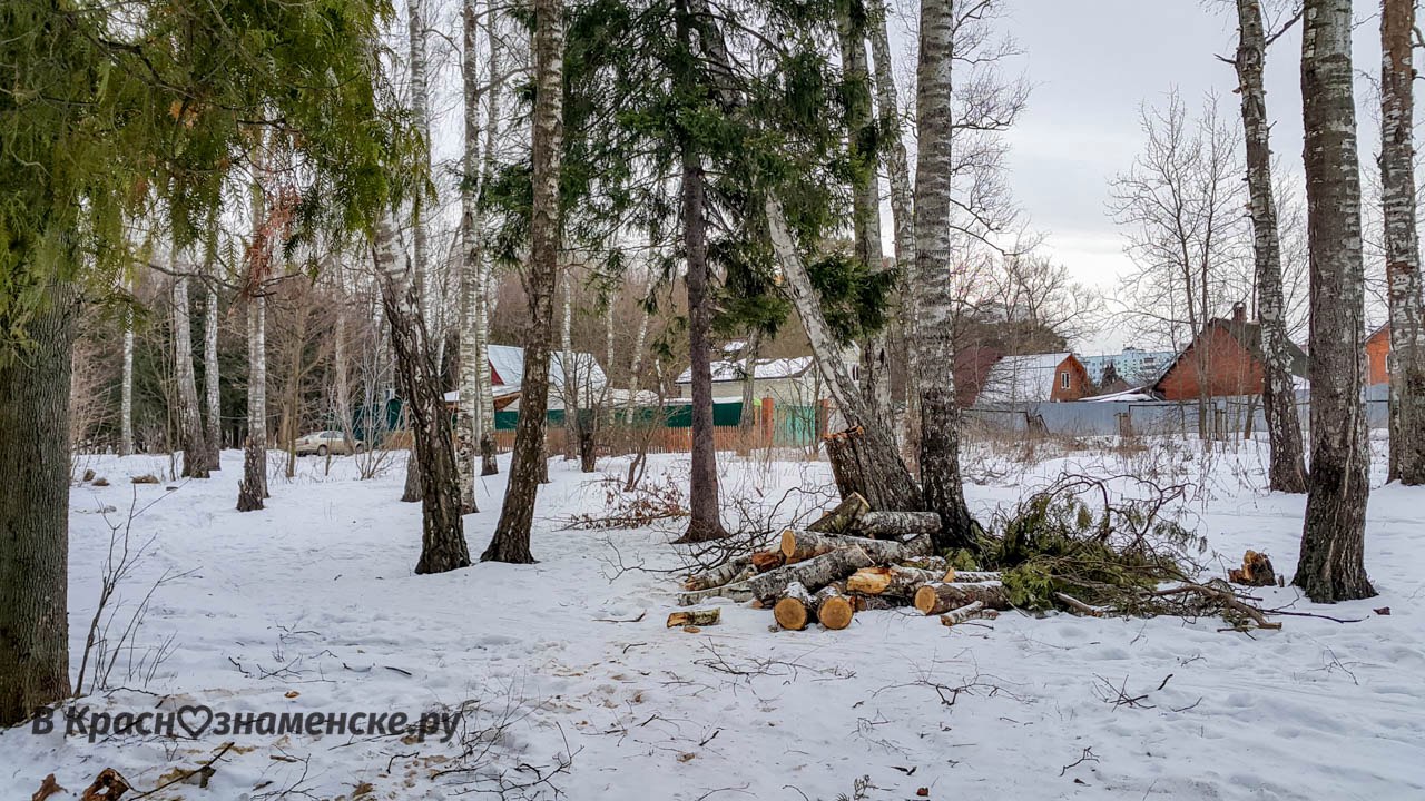 [club27992616|Коротко об экологии]: — Краснознаменск