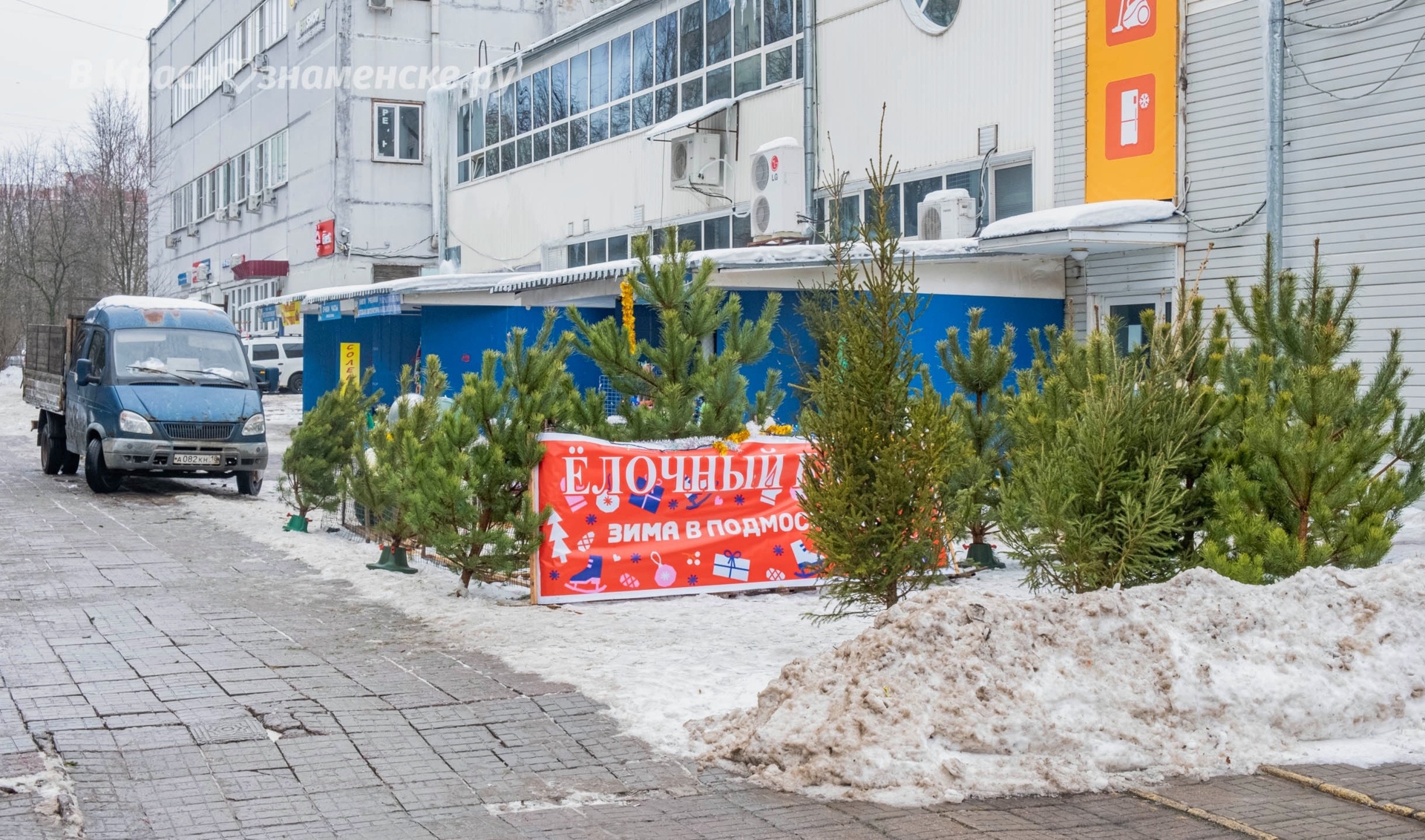 У Городского рынка открылся ёлочный базар!  Цена — 1 500 руб