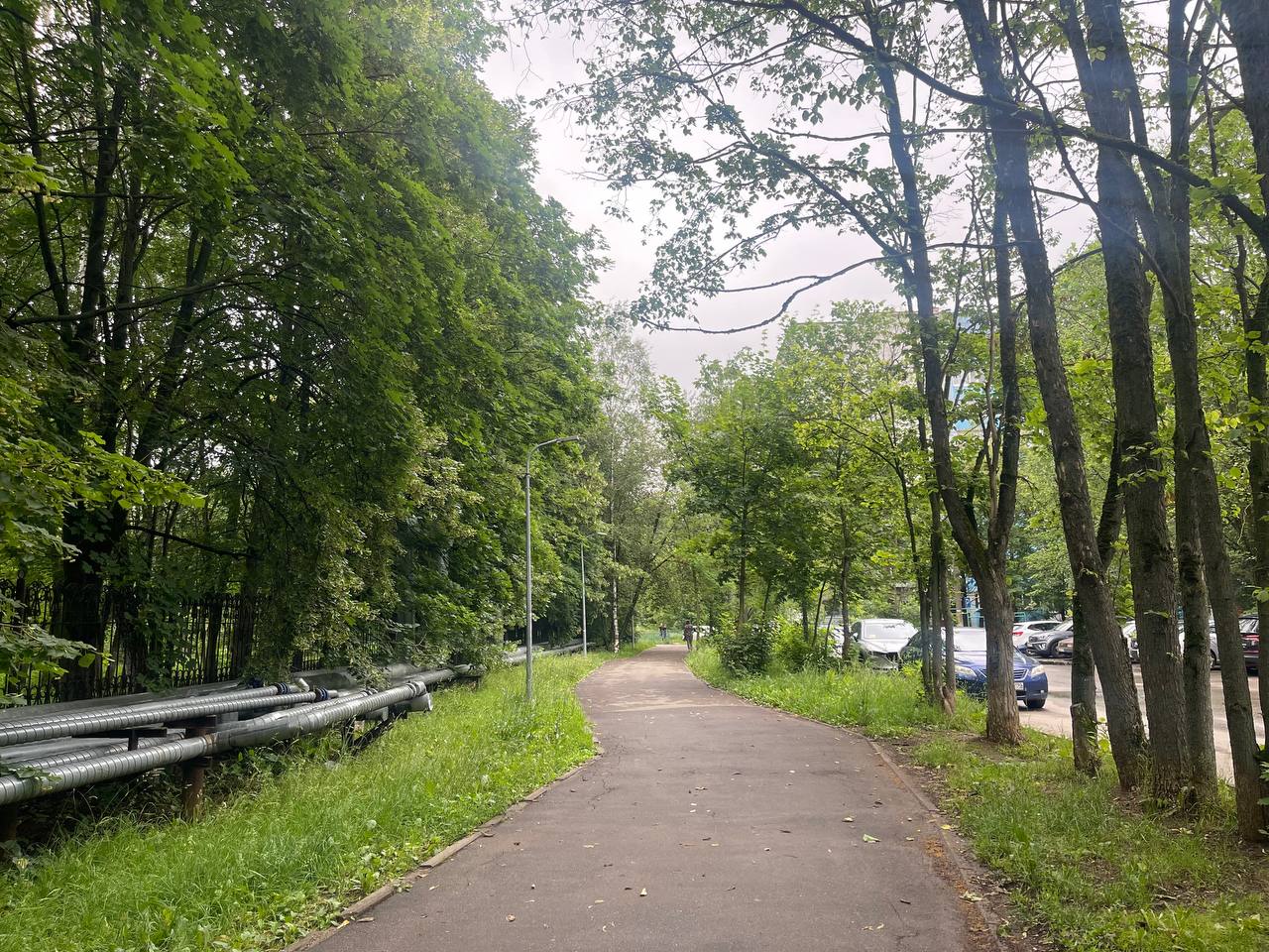 Прогулка по городу — Краснознаменск