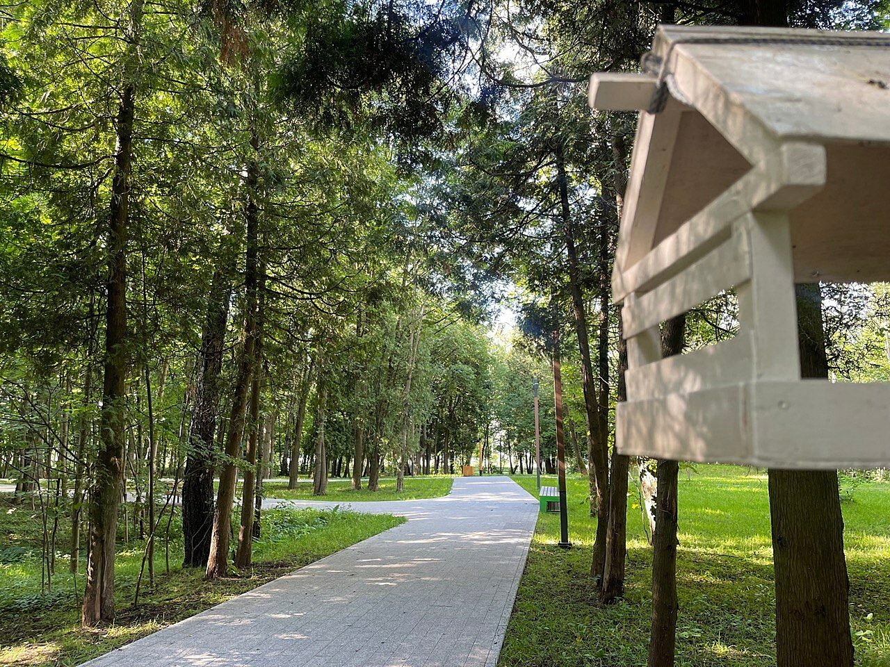 Прогулка по городу — Краснознаменск