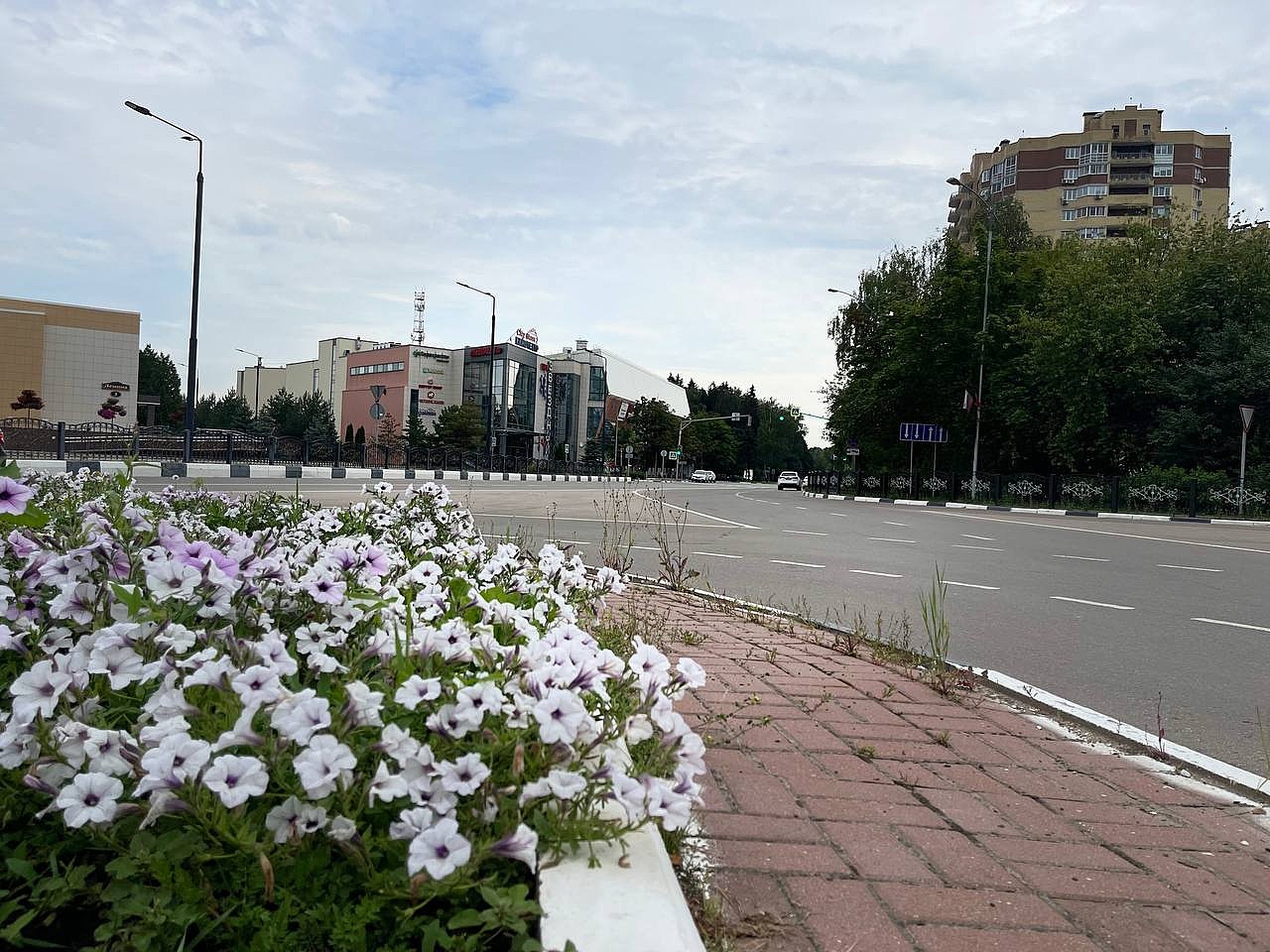 Прогулка по городу.