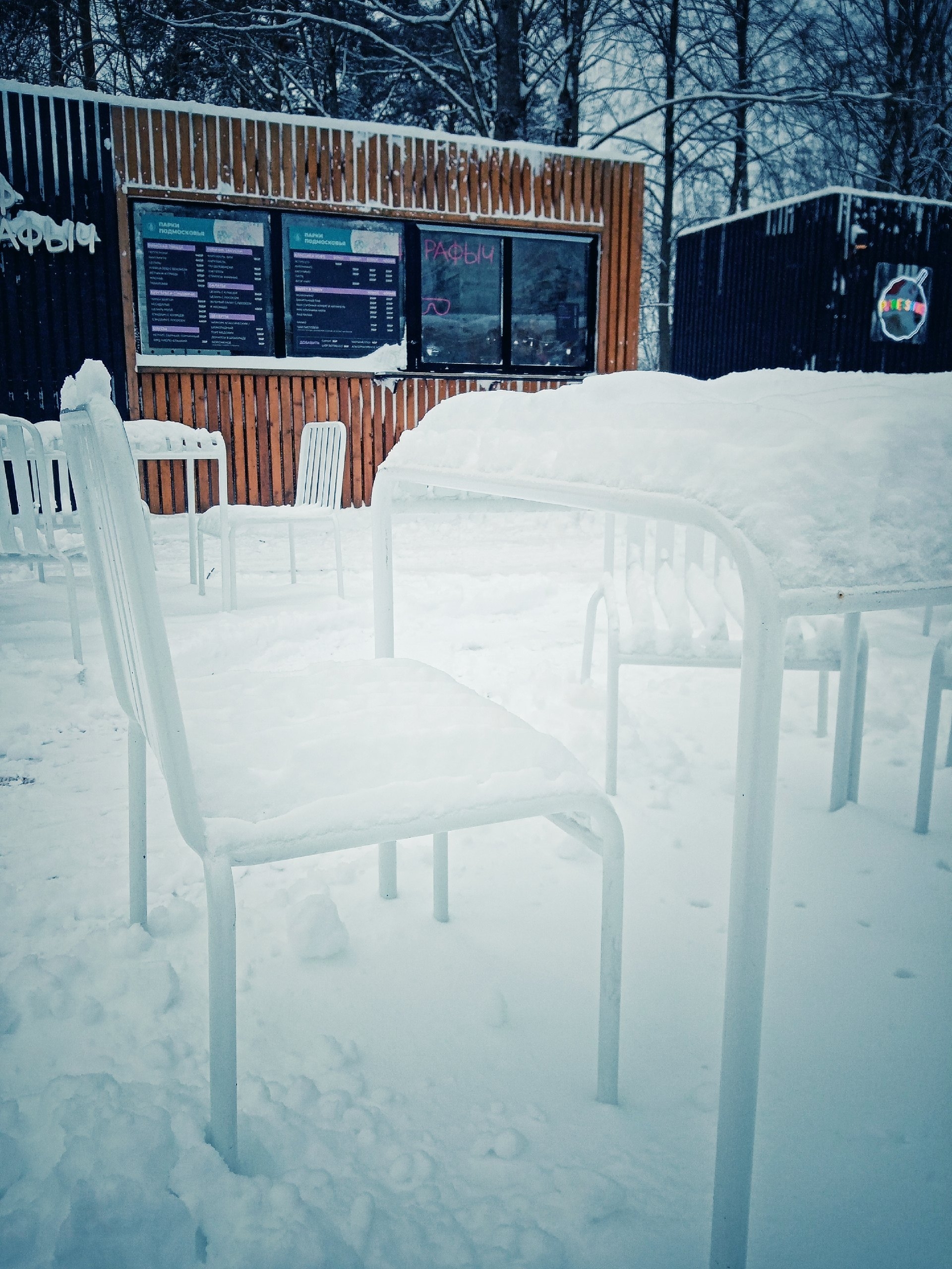 Прогулка по городу. — Краснознаменск