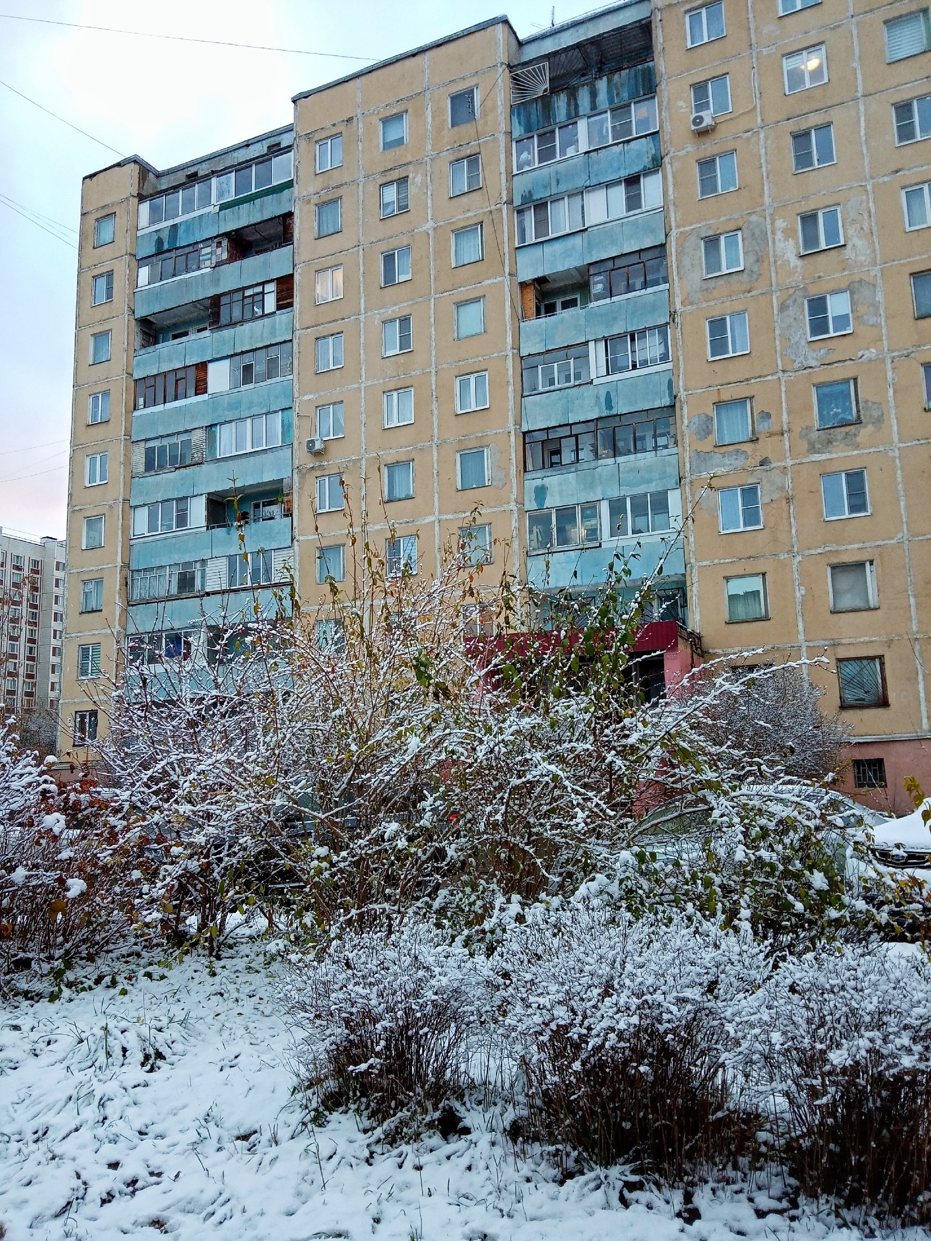 Прогулка по городу. — Краснознаменск