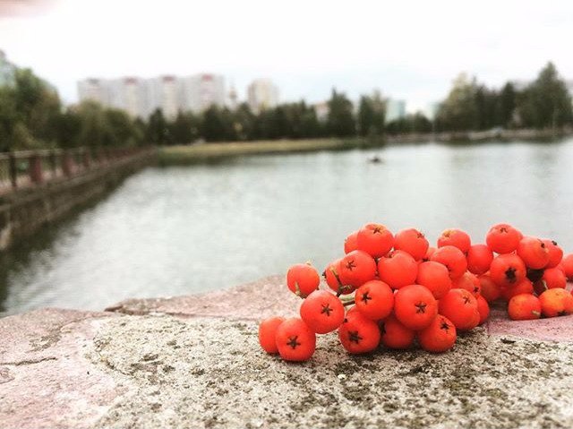 [club27992616|Доброе утро Краснознаменск!]