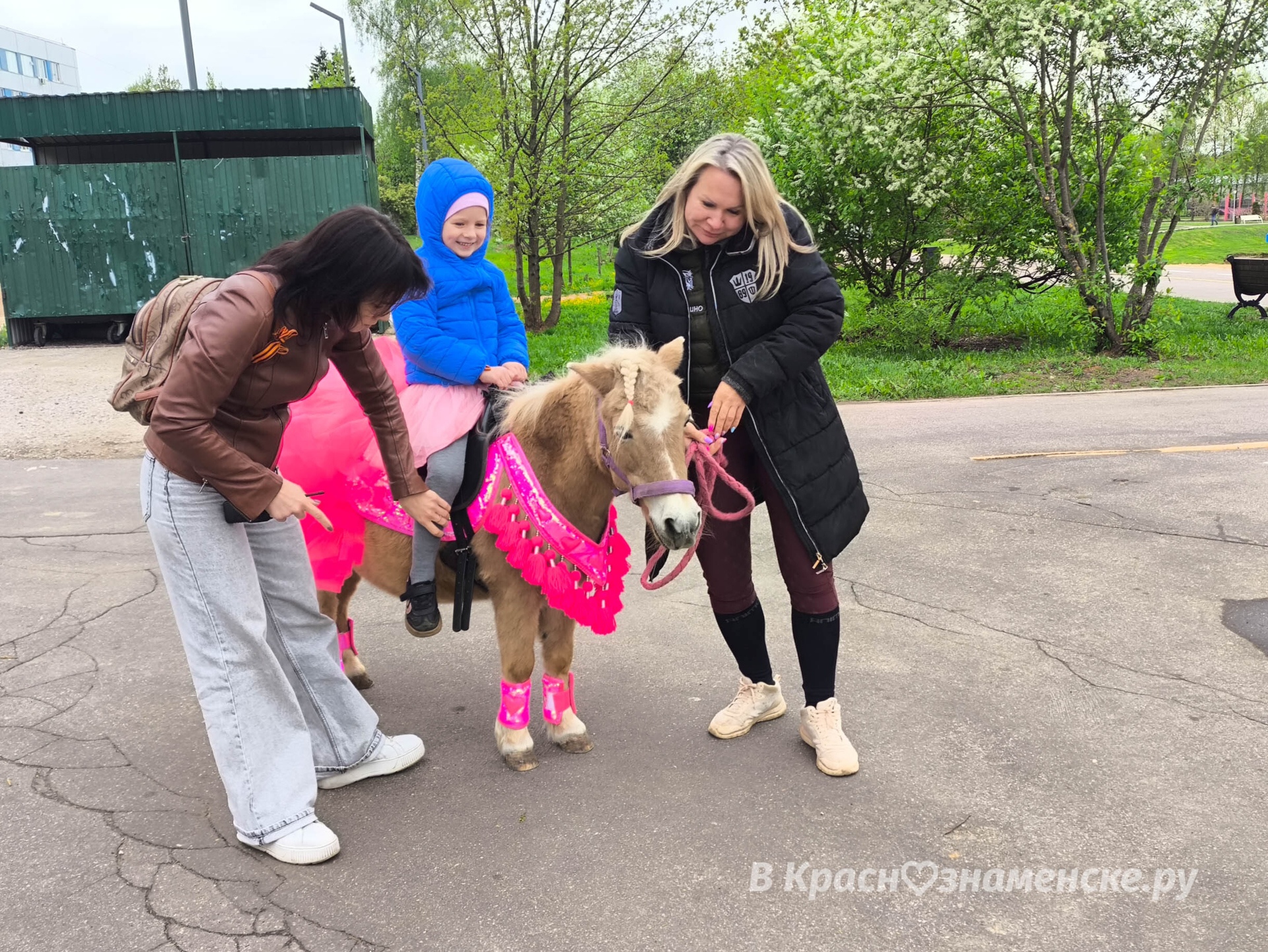В Городском парке тоже на лошадях катают  *Краснознаменск в