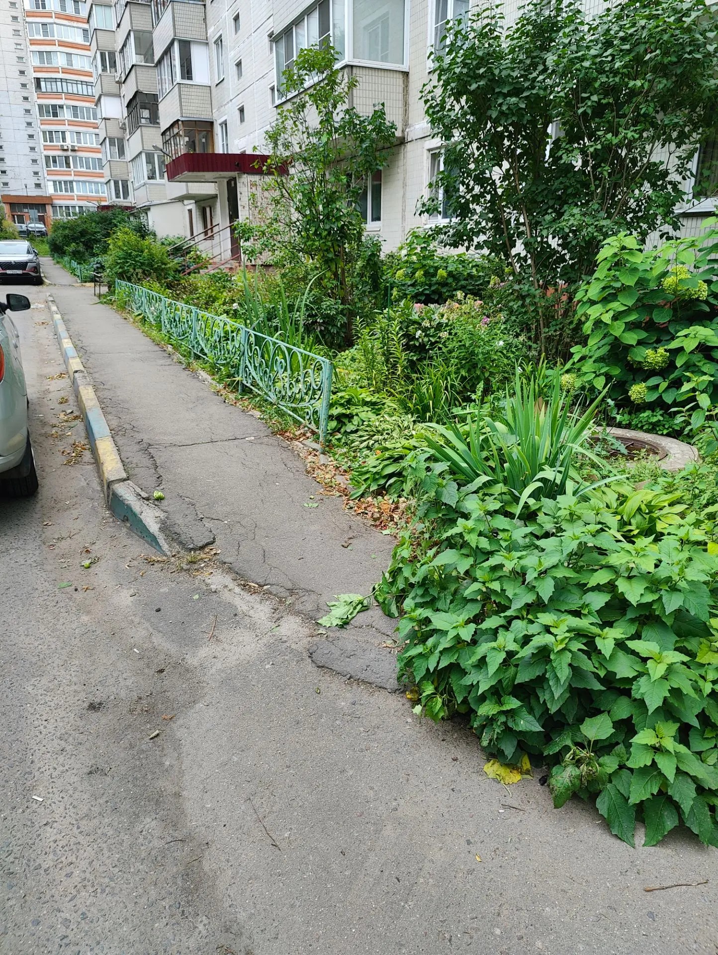 Фото 55271 — Краснознаменск