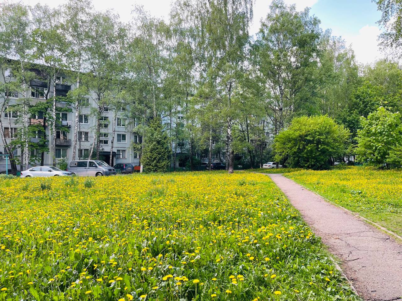 Майская прогулка по городу — Краснознаменск