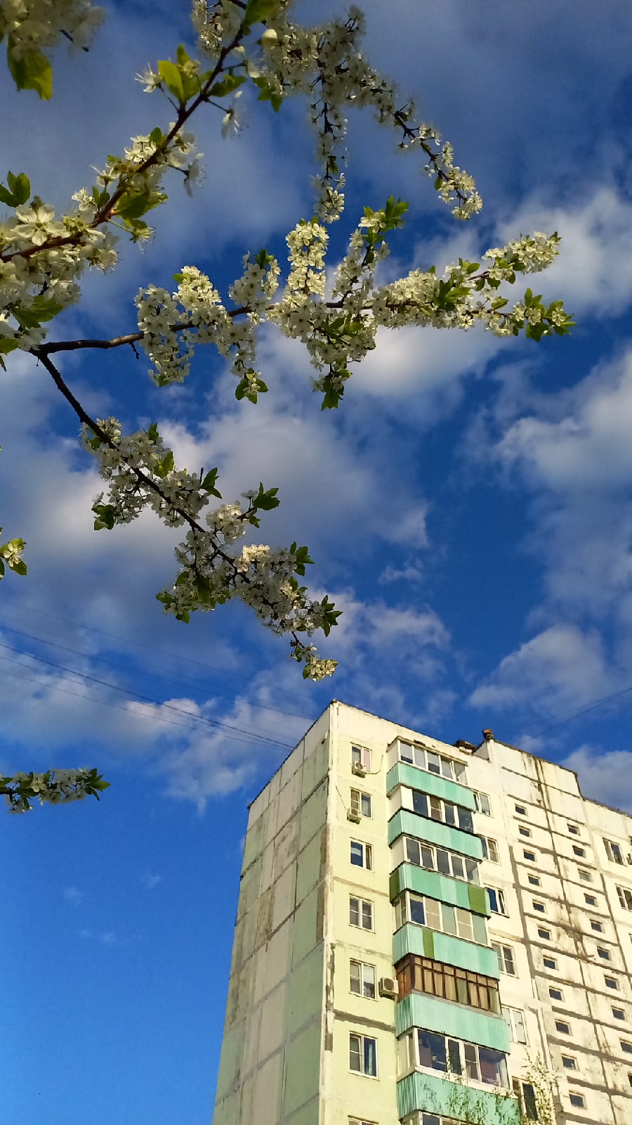 Май 2024 в Краснознаменске.☀⛈????
