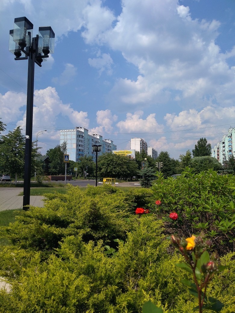 Доброе утро, Краснознаменск! Утром +17°...+26°, Ясно, Давлен
