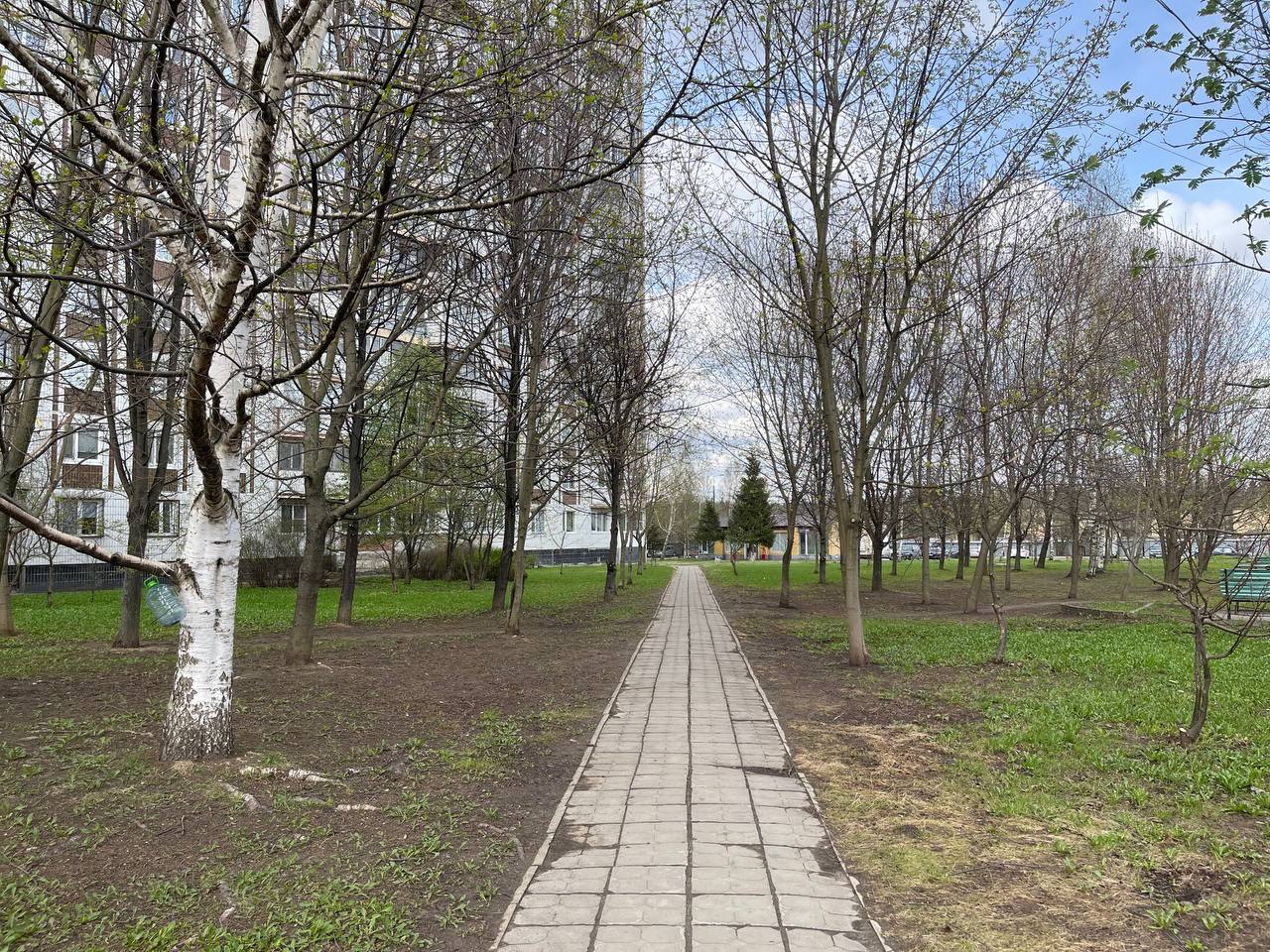Прогулка по городу.