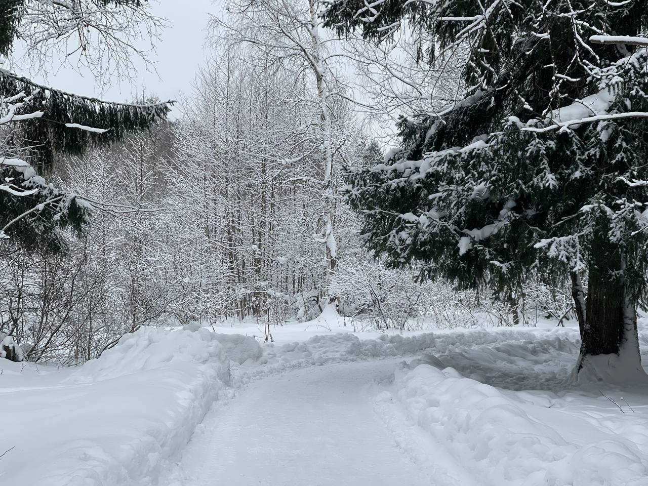 Прогулка по городскому парку — Краснознаменск