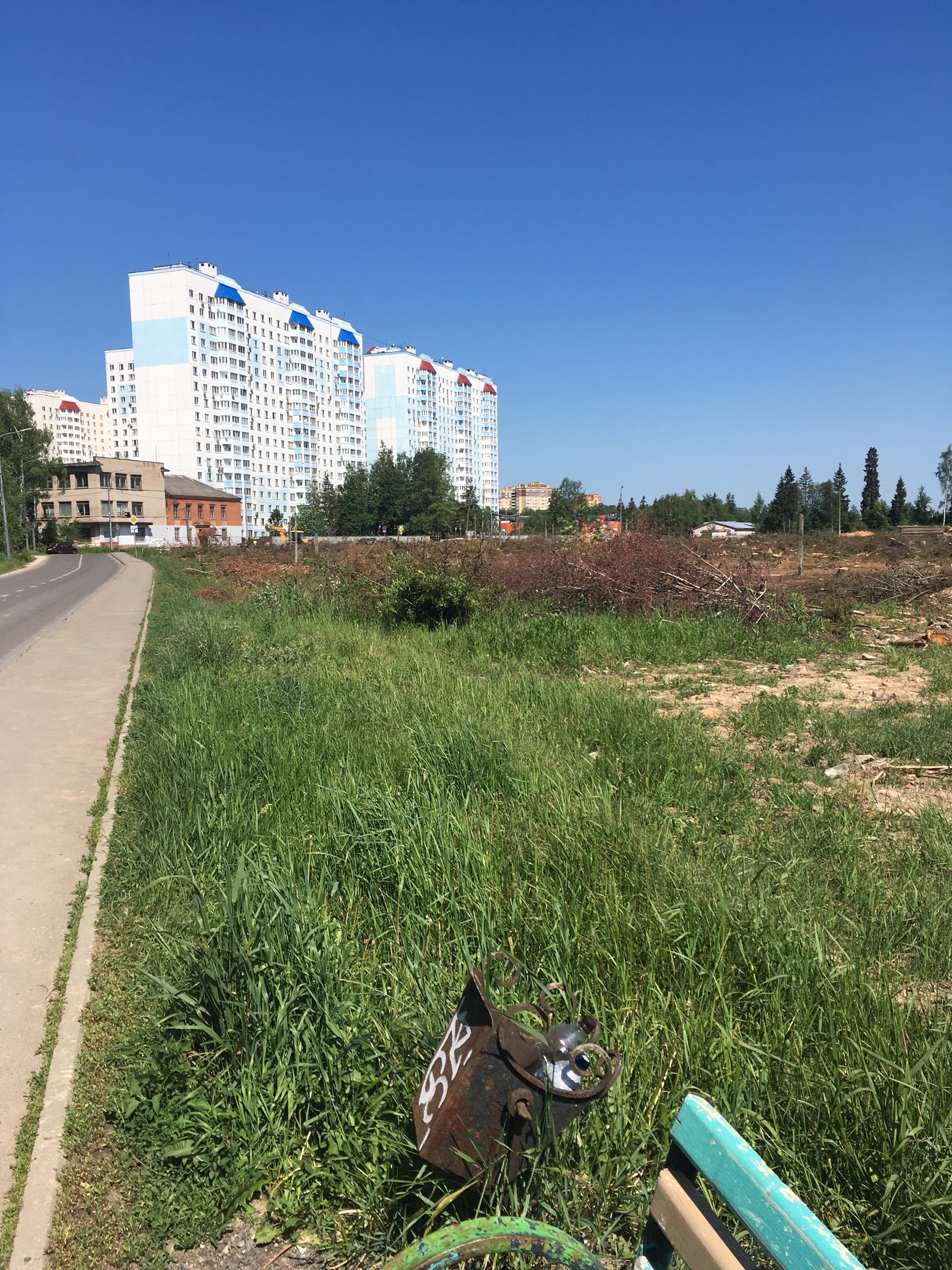 Под школу на Связистов вырубили такой массив леса, что можно