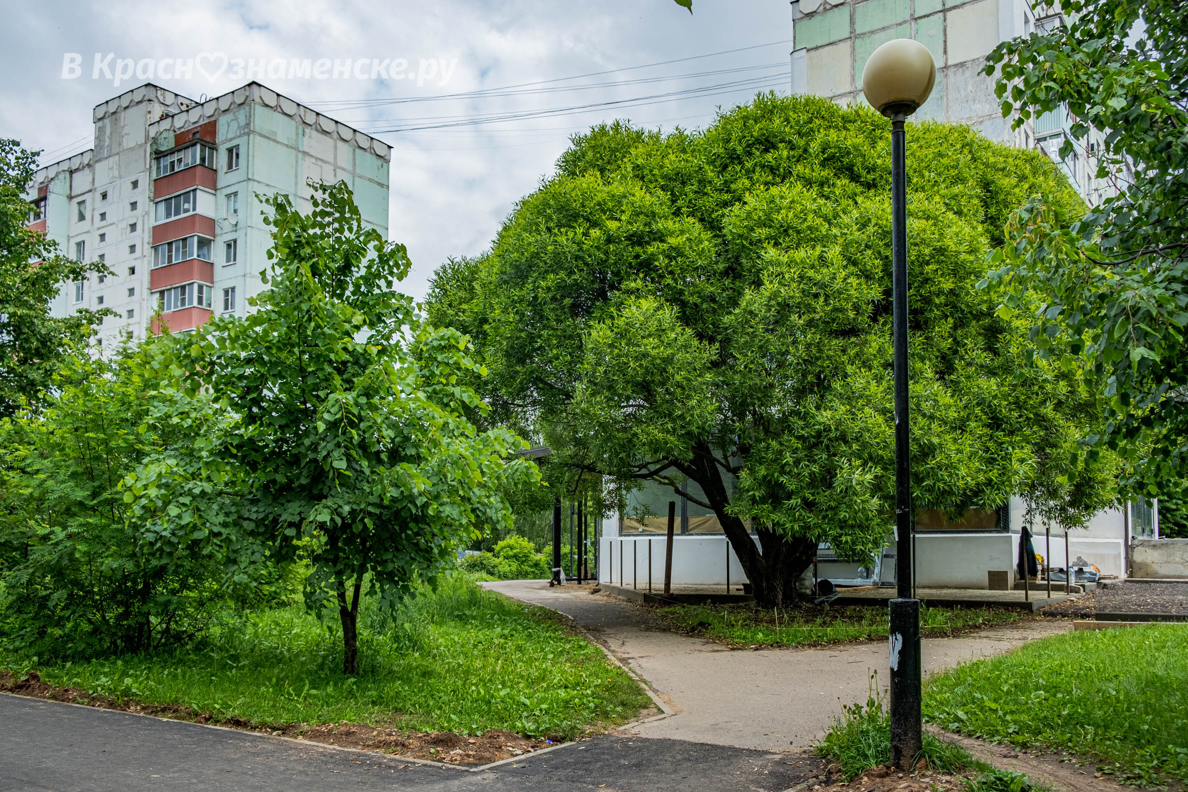 Прогулка по городу ???? — Краснознаменск