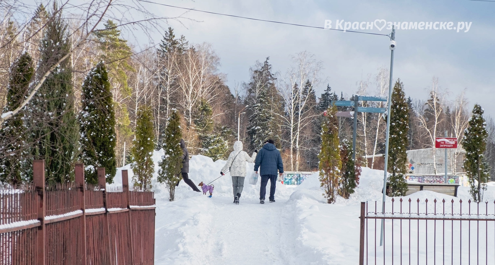 Фото 42387 — Краснознаменск