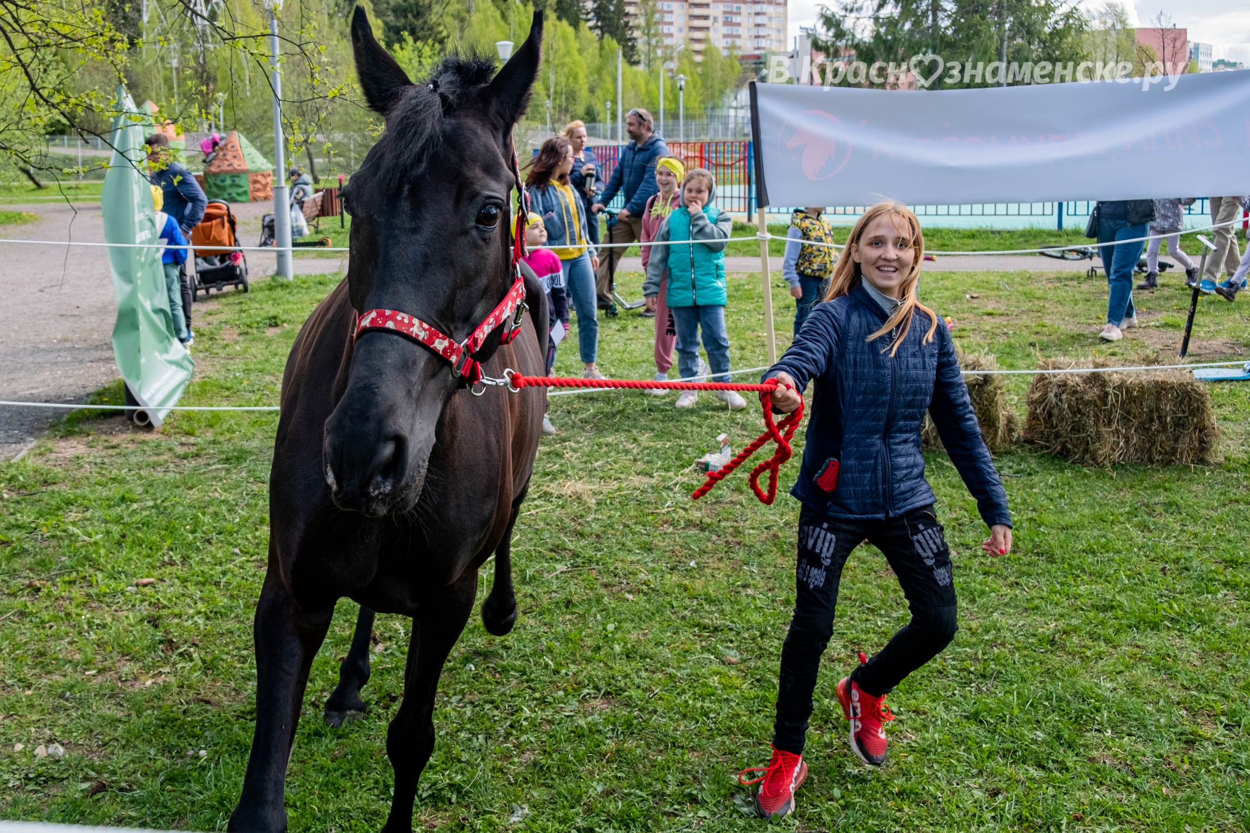 Быстрое меню — Краснознаменск
