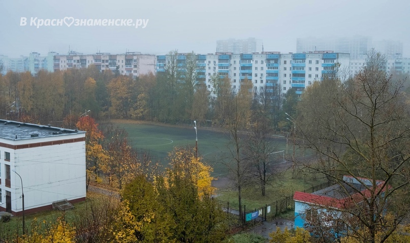Доброе утро, Краснознаменск! Светлого вам и спокойного дня)