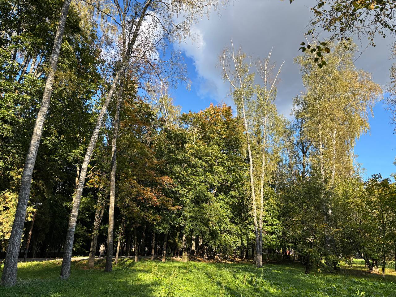Солнечный осенний день в Беличьем парке ???? ????  ⓒ Парки Красноз