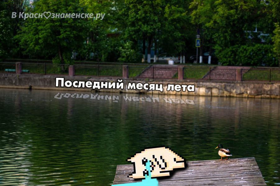 VK -27992616_357301