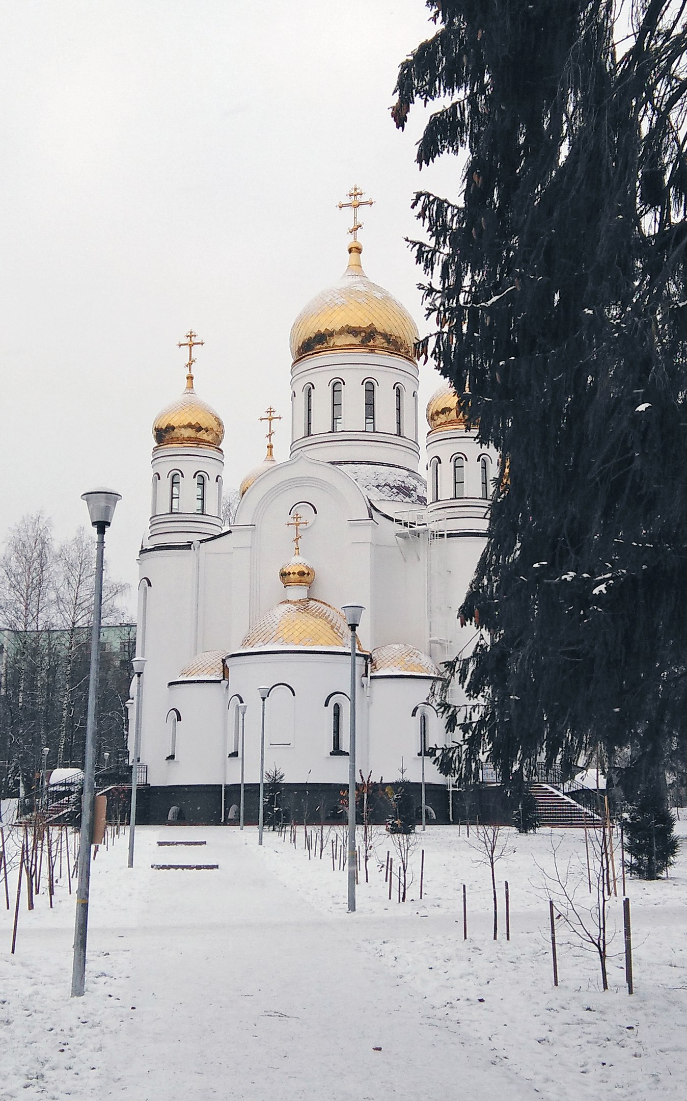 Фото 9287 — Краснознаменск
