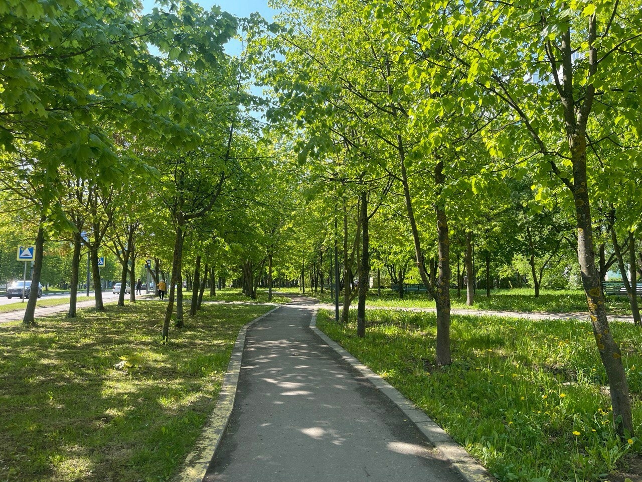 Доброе утро, Краснознаменск! Солнечного вам дня)