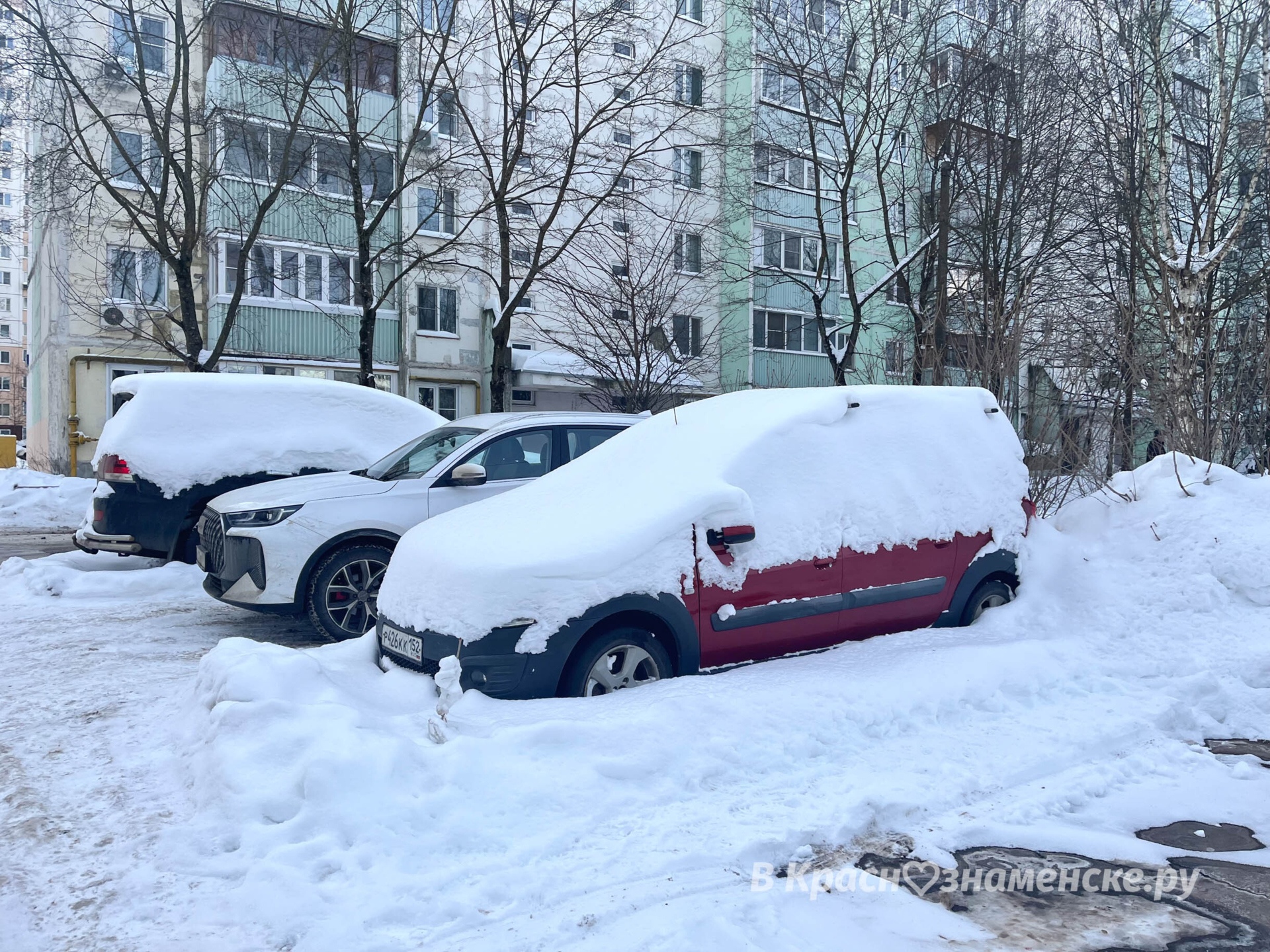 Интересно, владельцы таких снежных сугробов — просто пользую