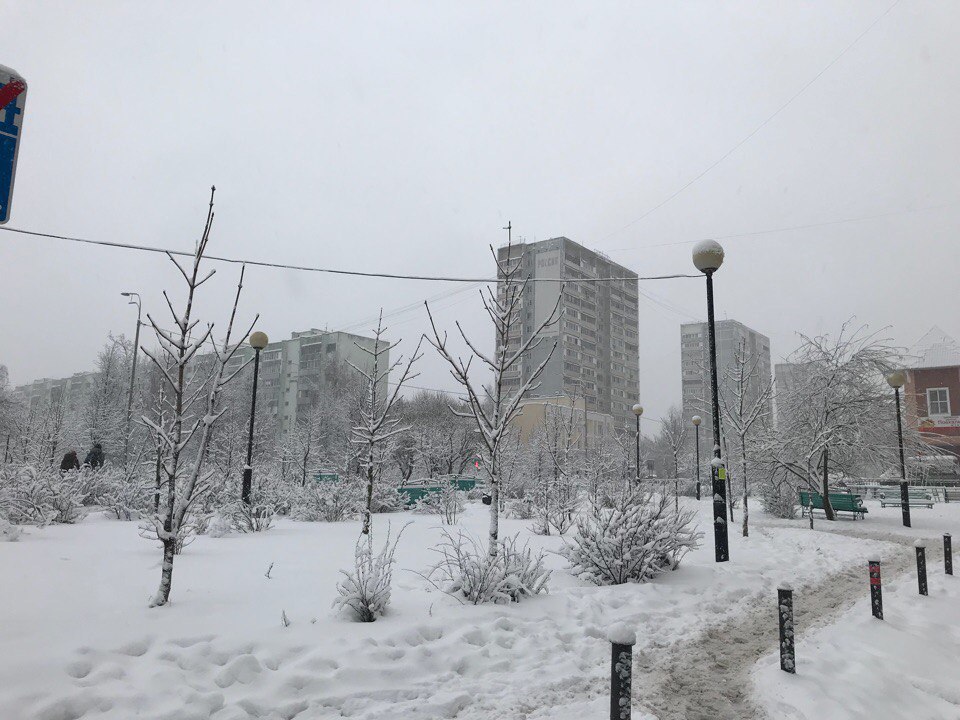 Сказочная зима ❄️