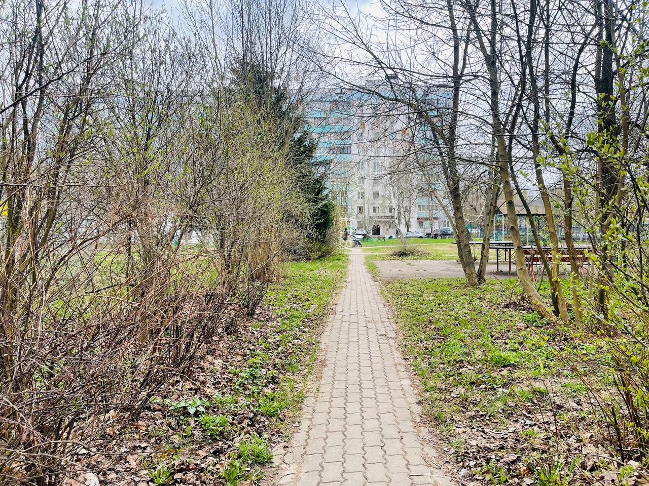 Прогулка по городу.