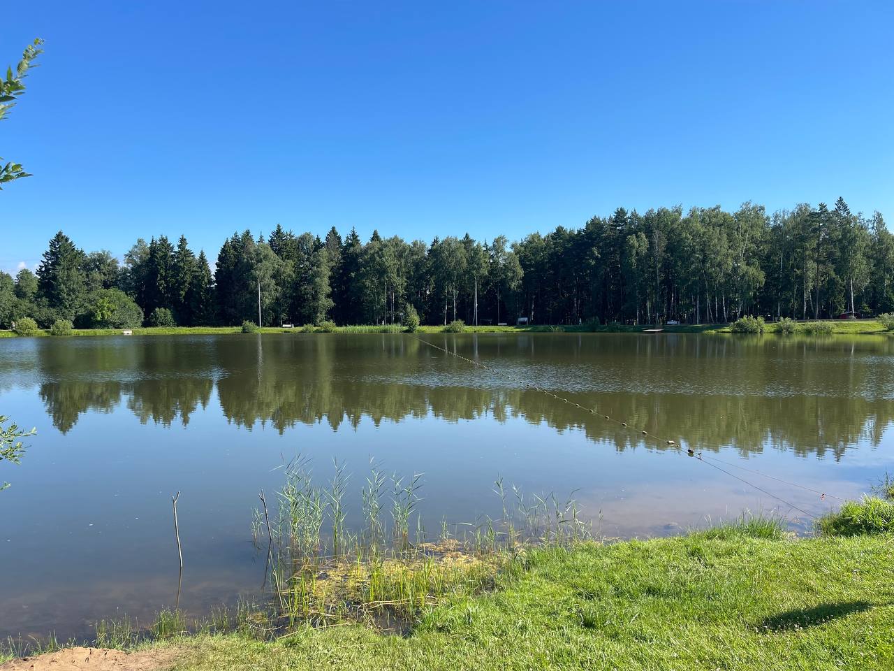 Прогулка по городу. — Краснознаменск