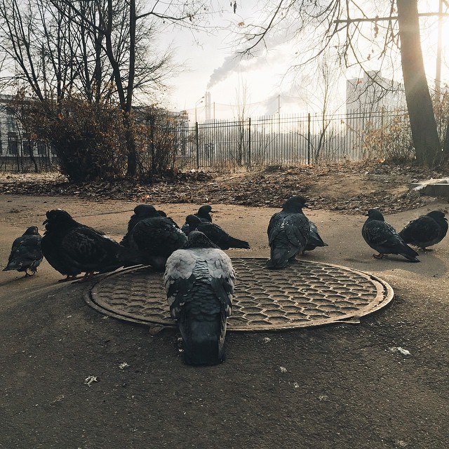 Автор фотографии boldyrev