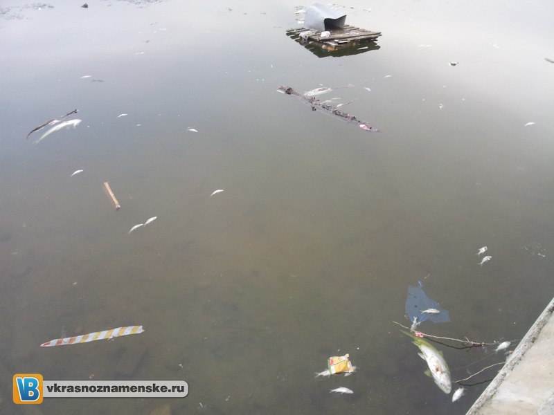 Быстрое меню — Краснознаменск