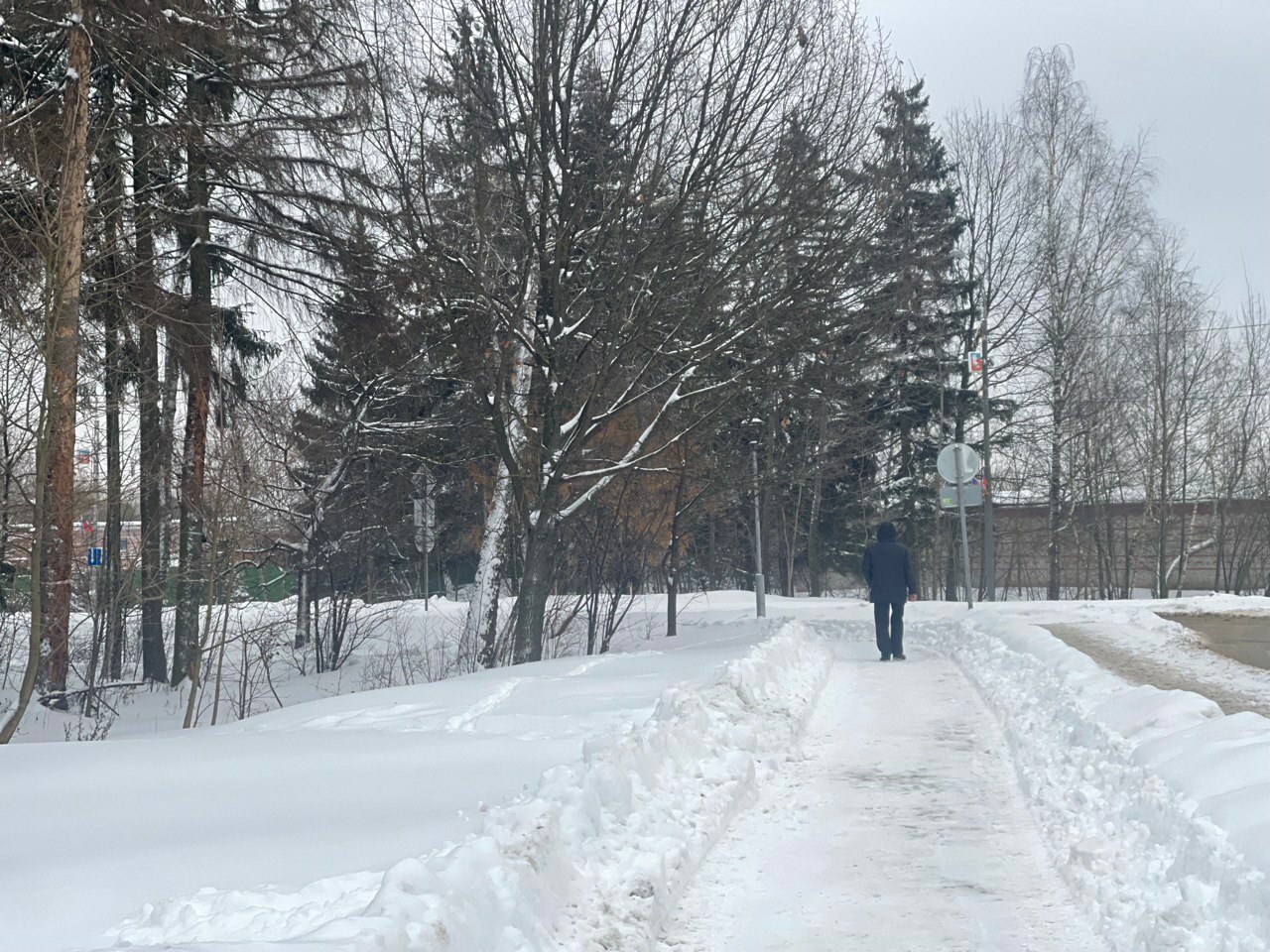 Прогулка по городу — Краснознаменск