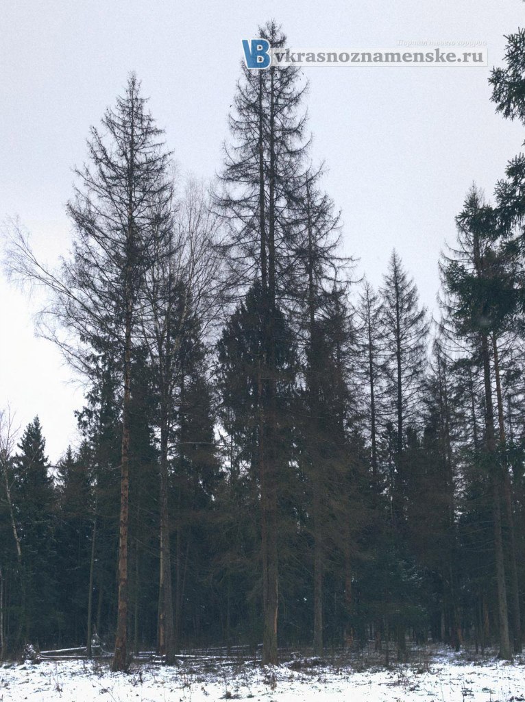 Быстрое меню — Краснознаменск