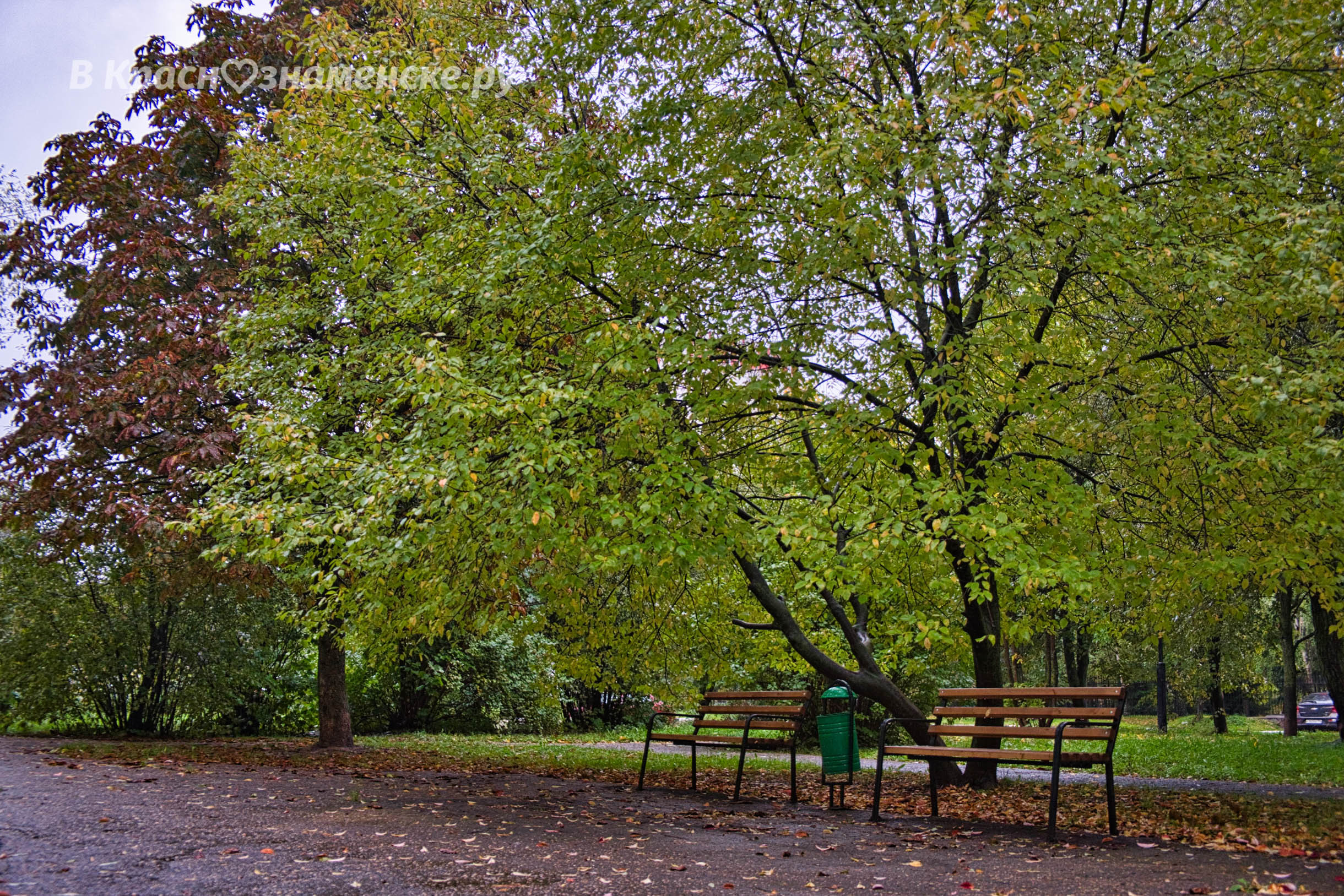 Прогулка по городу ☂ — Краснознаменск