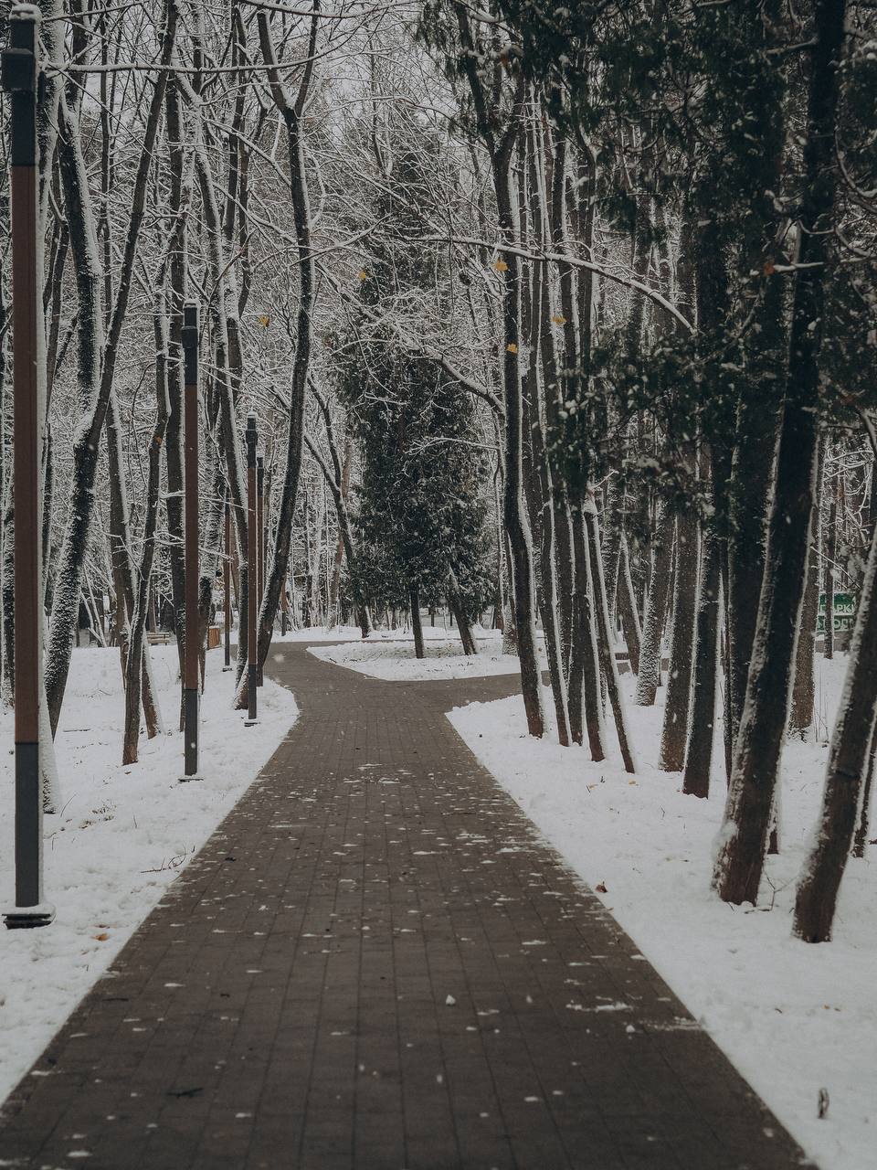 Заснеженный парк ❄️ ???? Полина