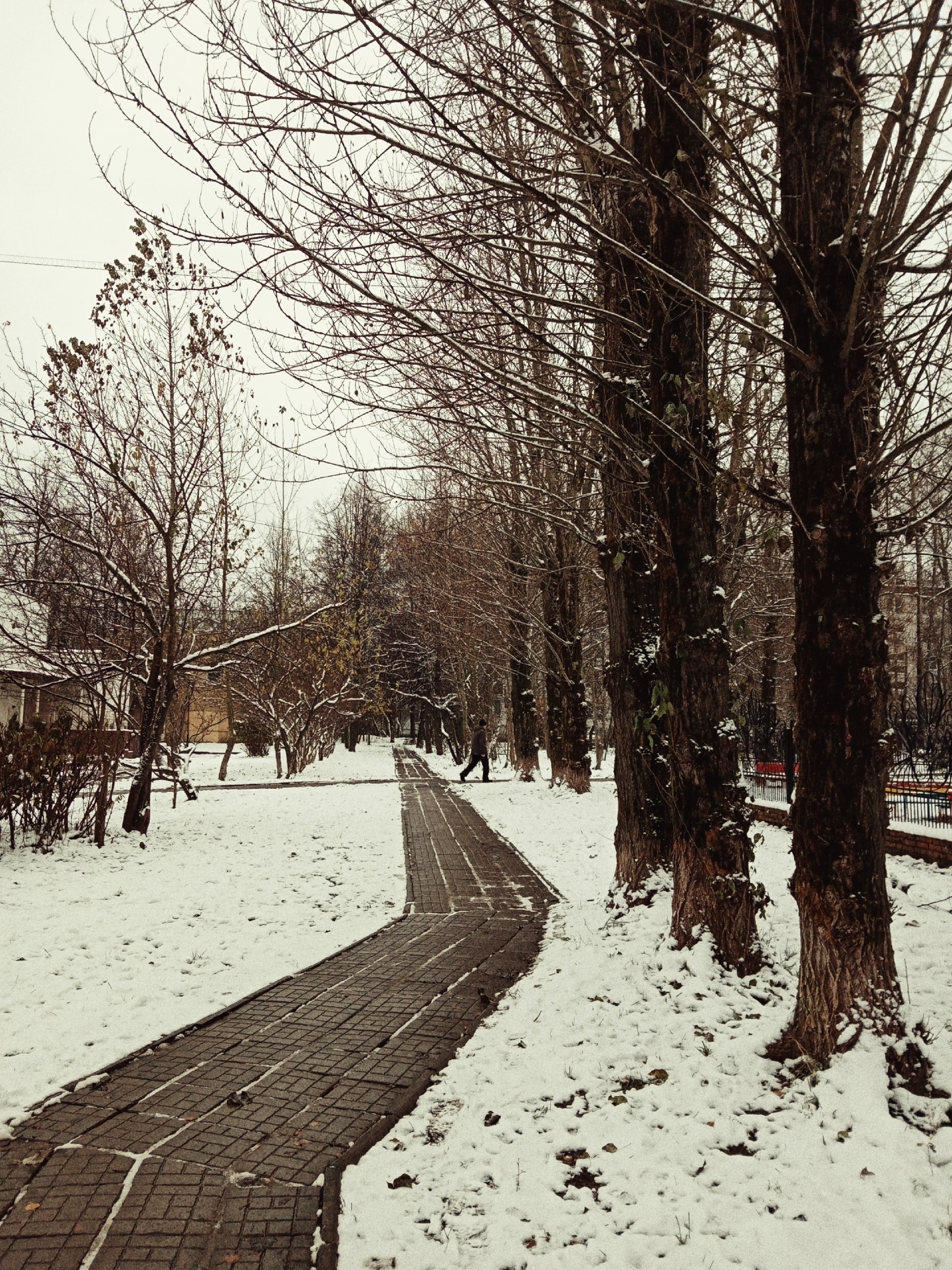 Фото 46335 — Краснознаменск