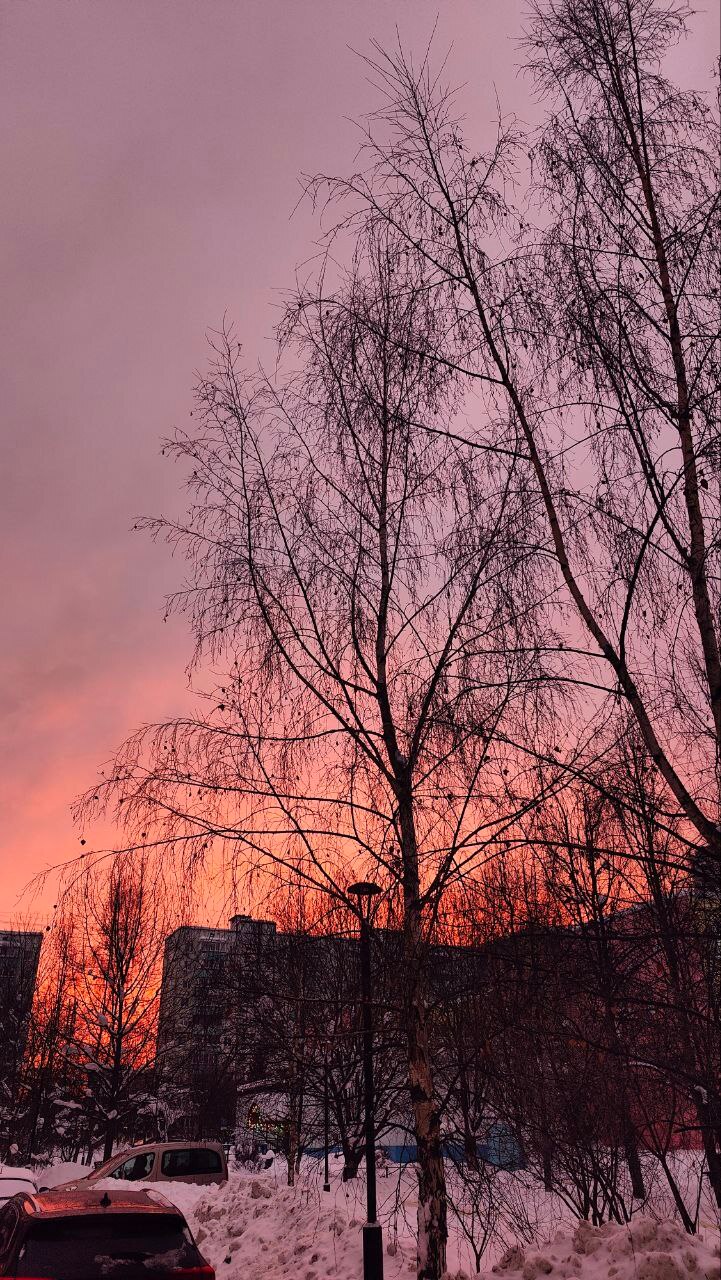 Красивый рассвет ❤️  ???? Anastasia V.  © в Краснознаменске.ру
